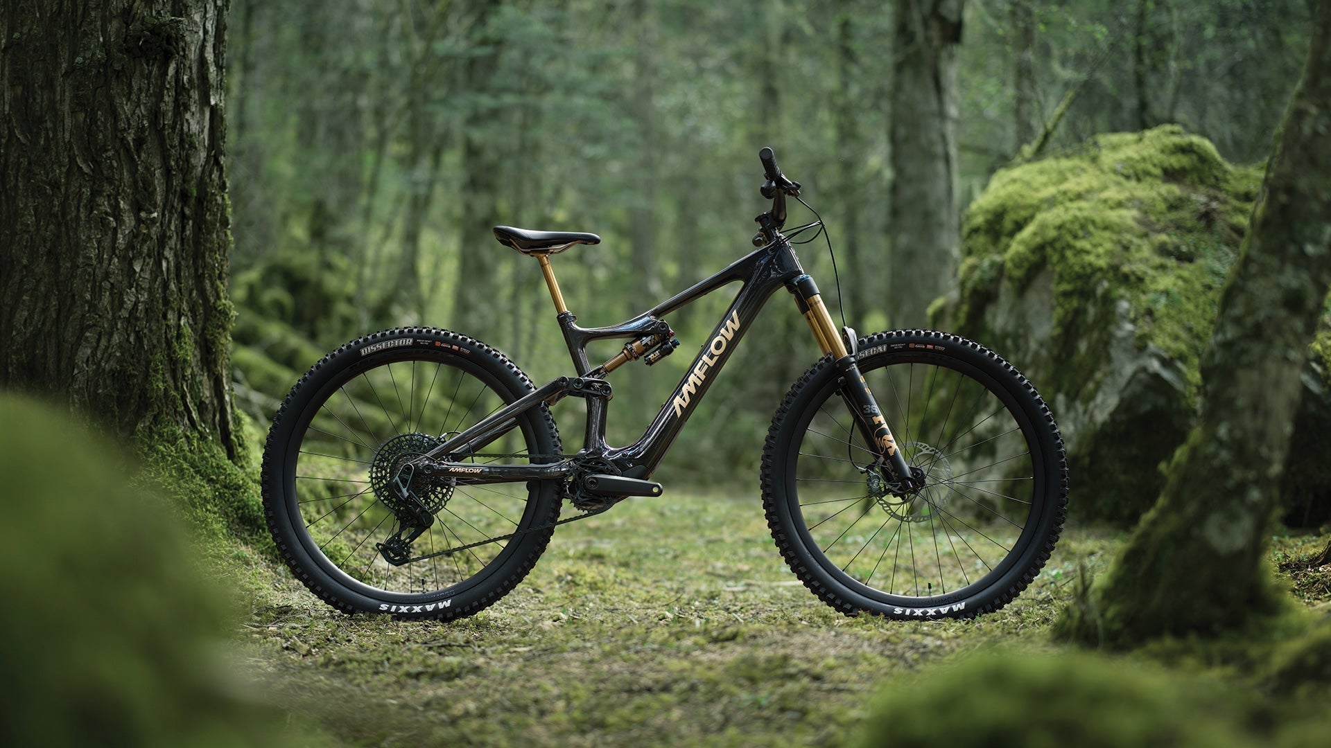 The Ultimate Buyer's Guide to Amflow E-Mountain Bikes