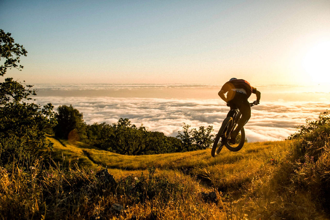 Trek vs Giant: Which mountain bike brand is the right one for you