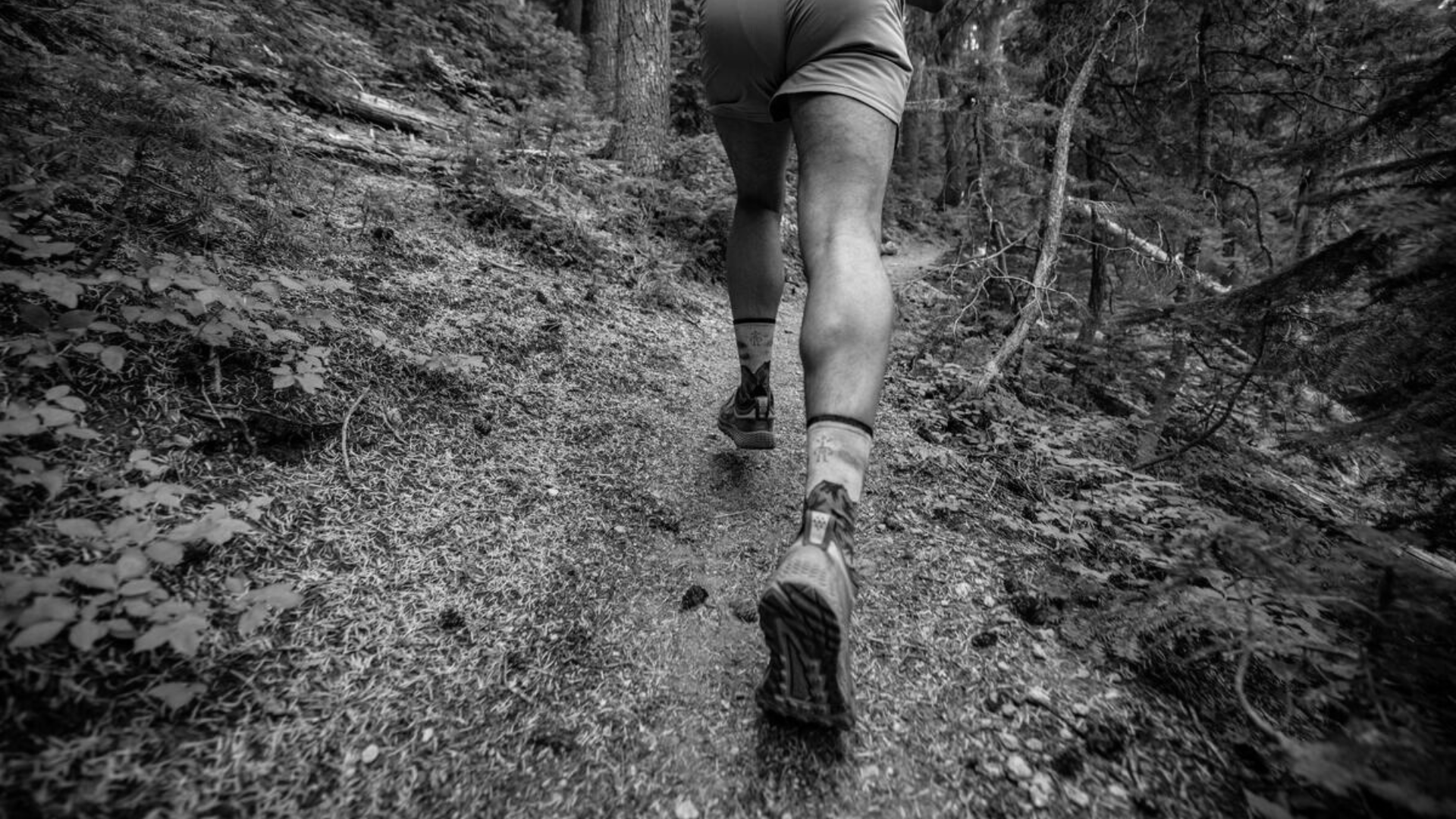 Black Friday Sale Smartwool