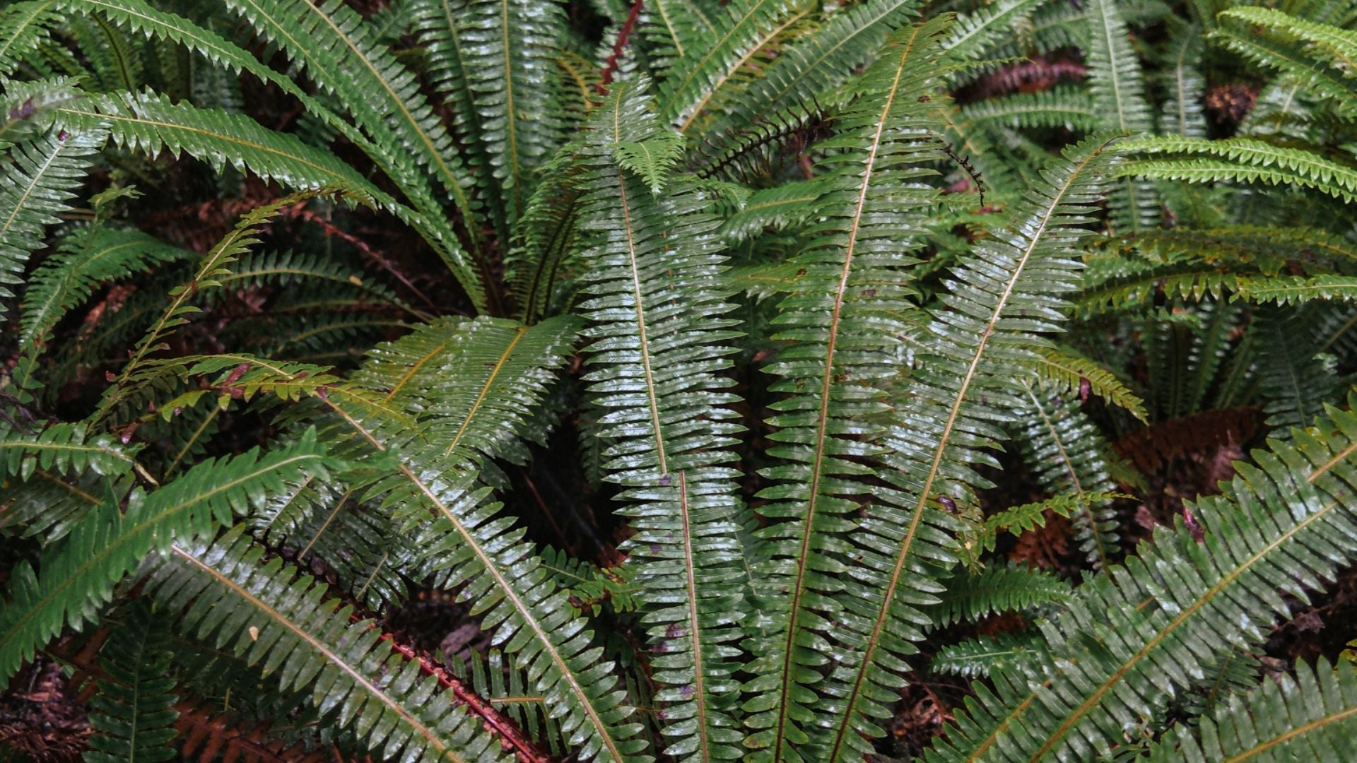 Repair & Waterproofing