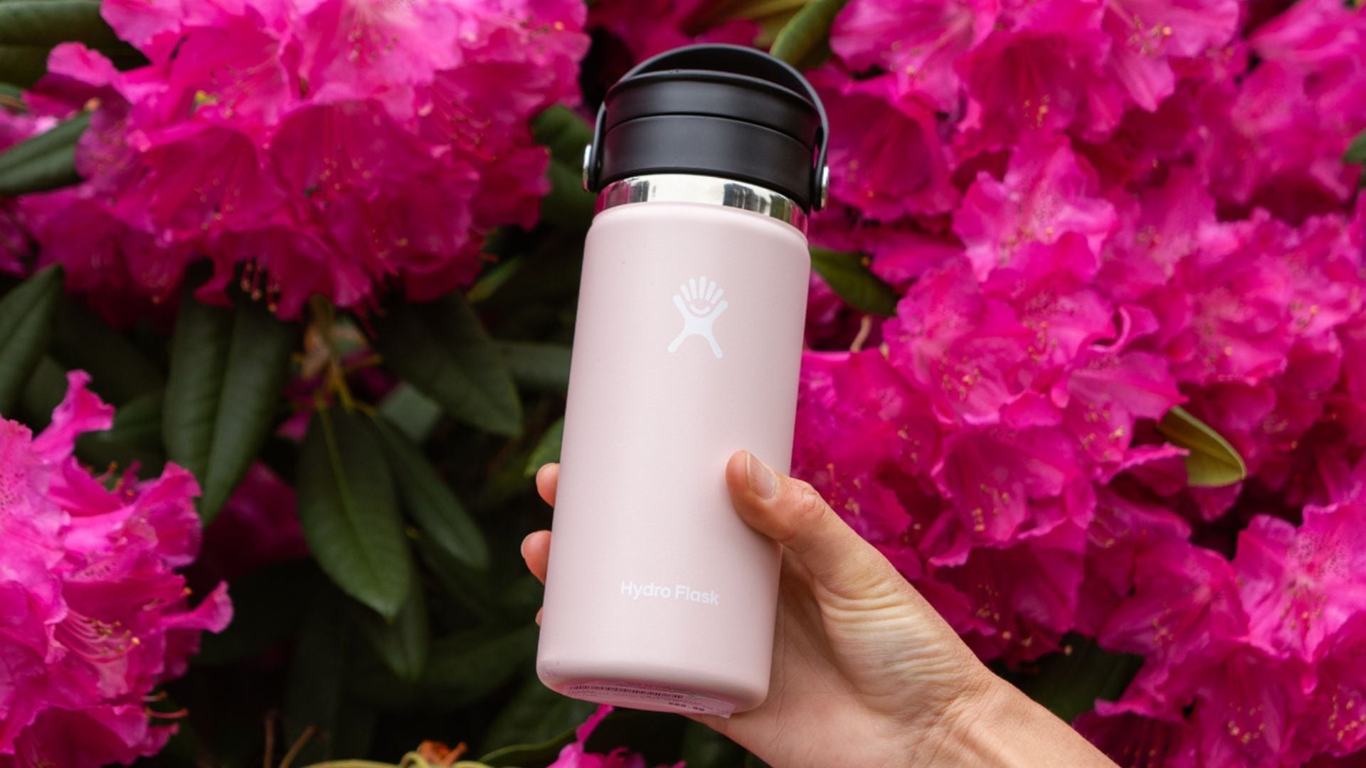Hydro Flask