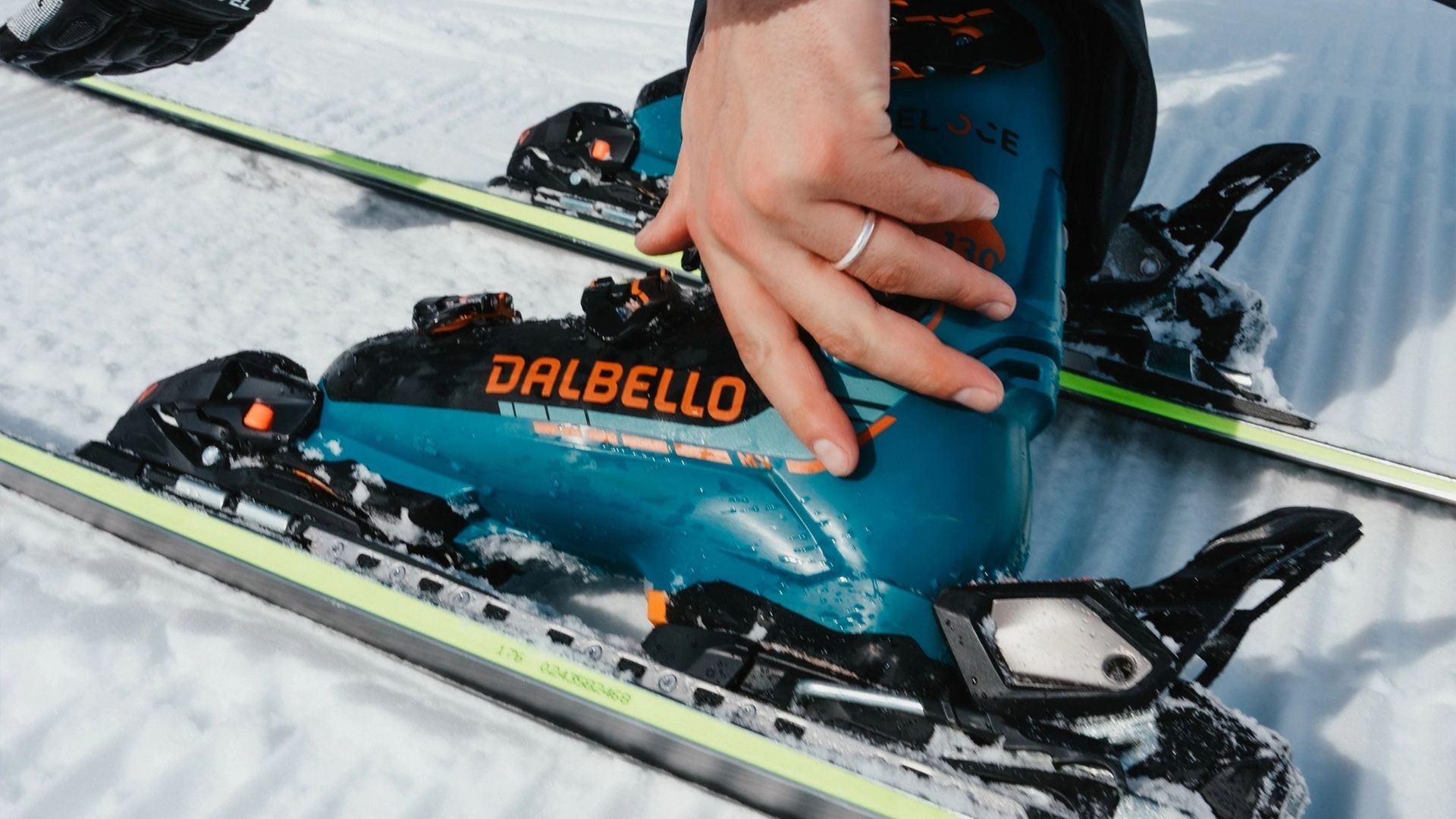 Dalbello