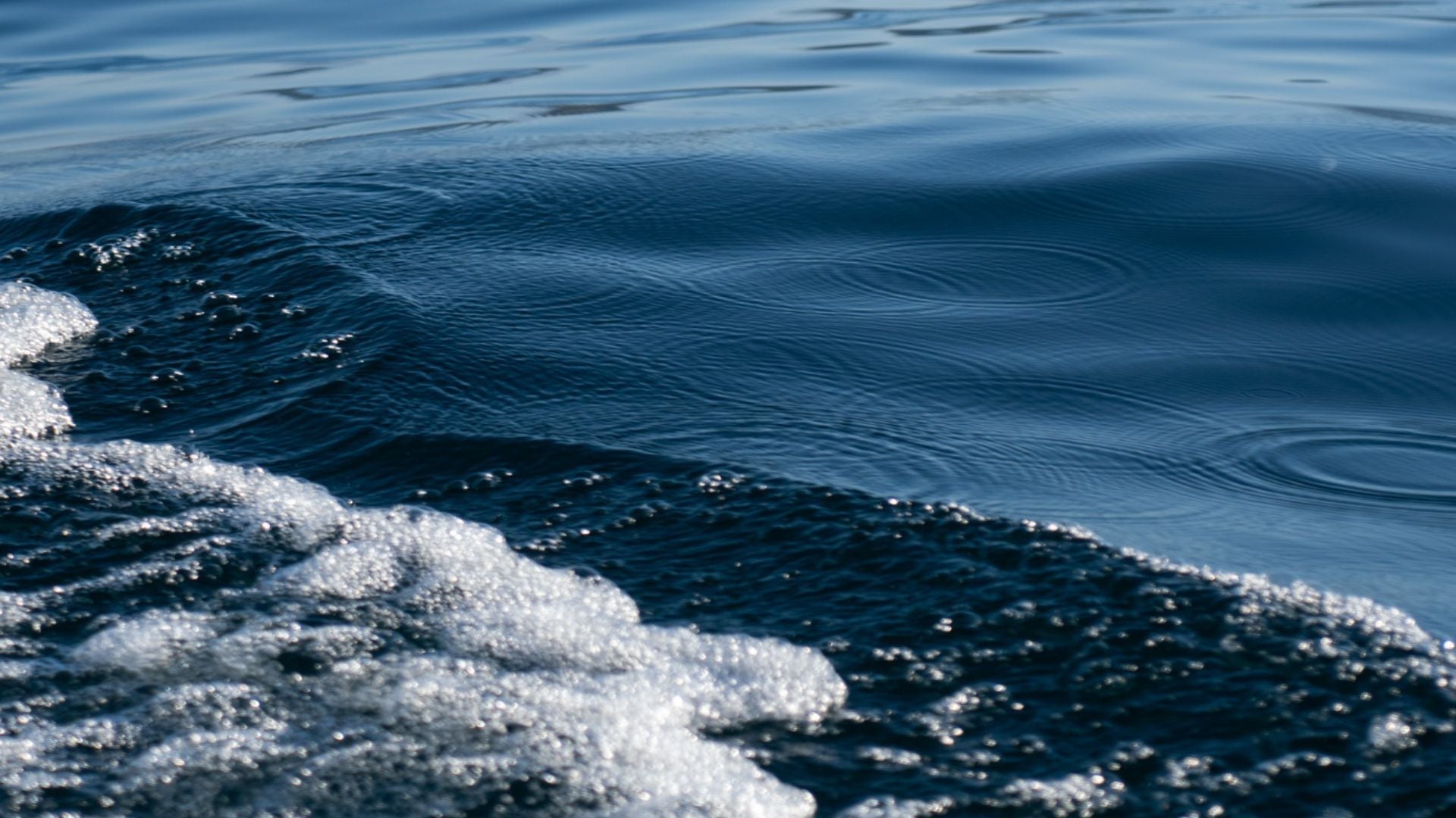 Water Ski Accessories