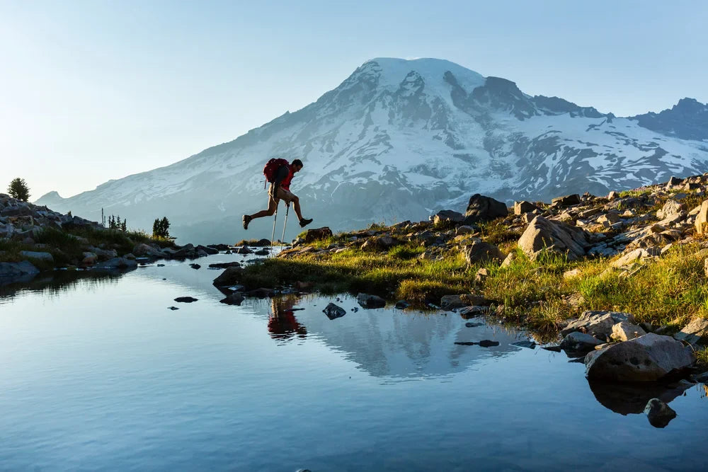 Hiking & Trekking Poles