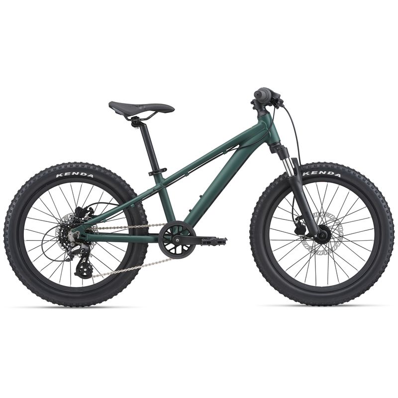 Giant STP 20 FS Kids Bike