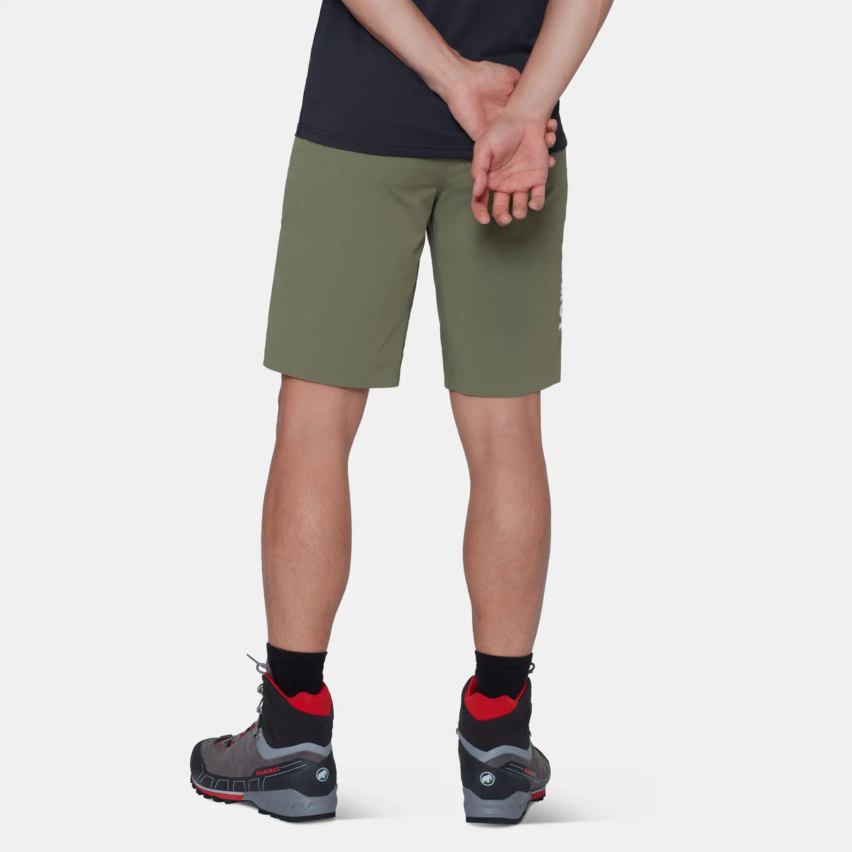 Mammut Mens Aenergy Light SO Shorts