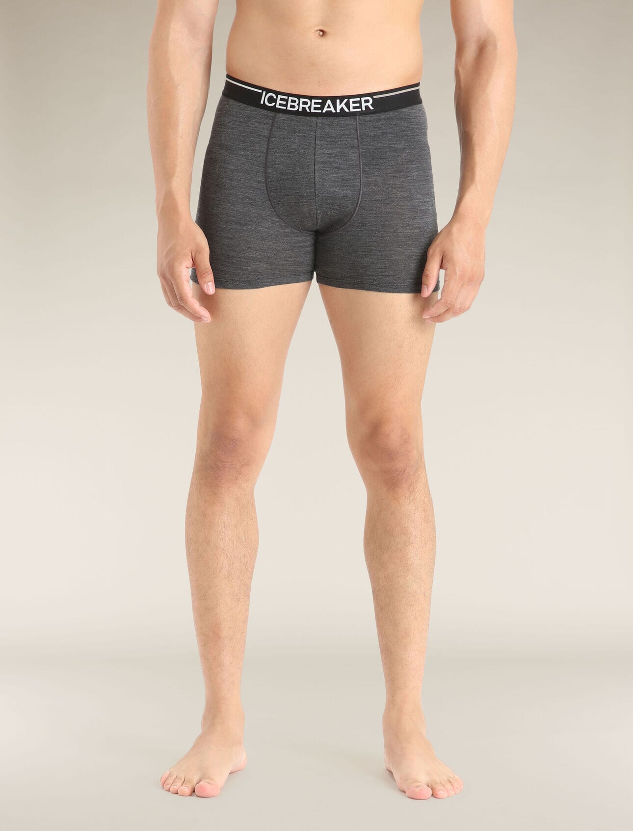 Icebreaker Mens Anatomica Boxers