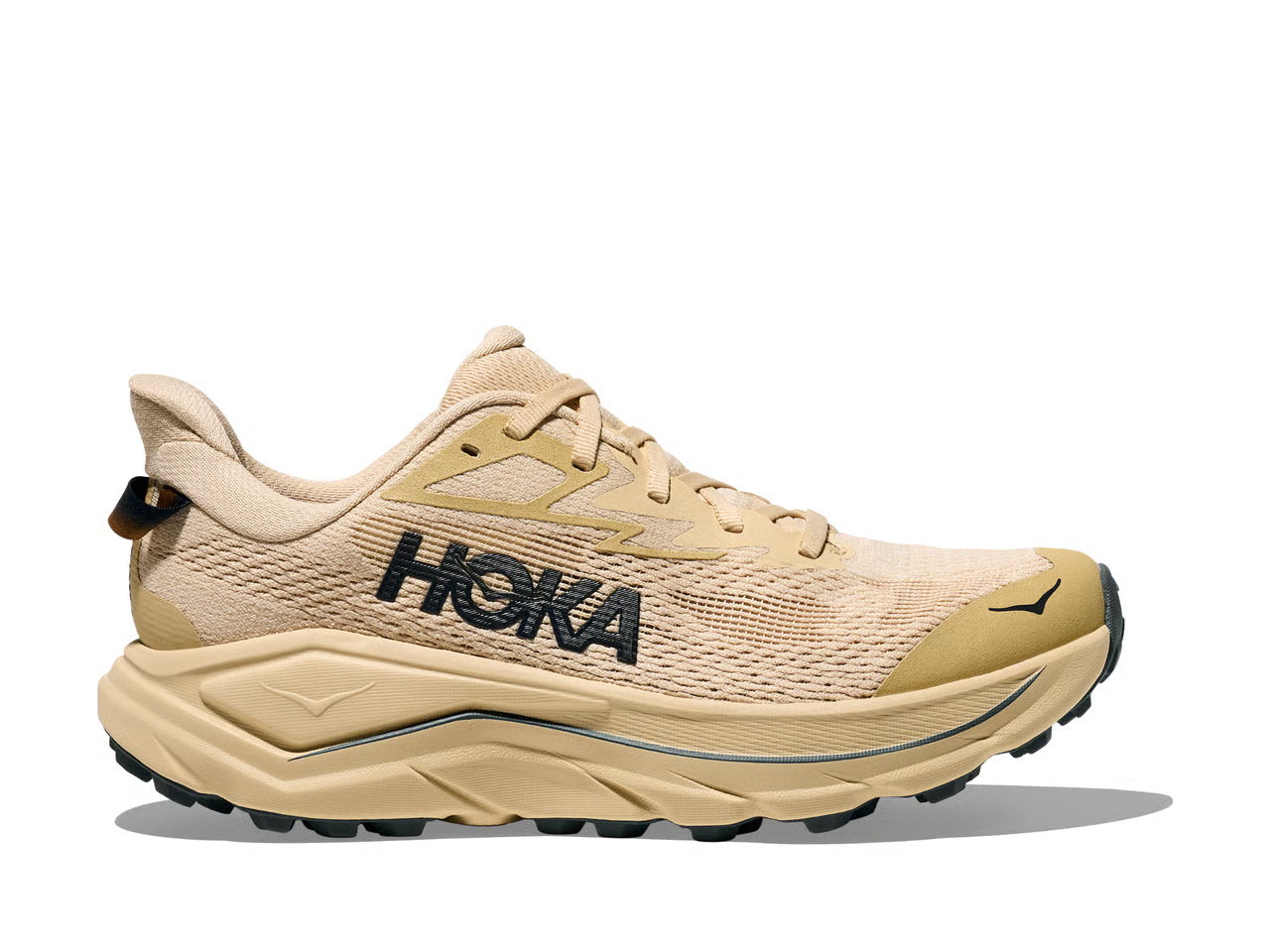 Footwear - Women's Footwear