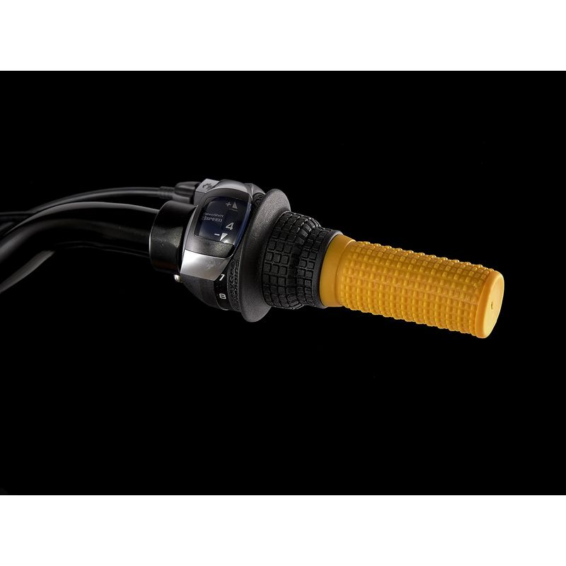 Trek Precaliber 24 Kids Bike