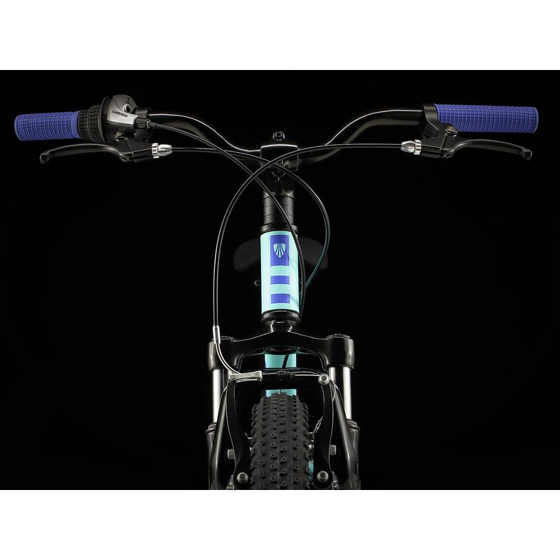 Trek Precaliber 24 Kids Bike