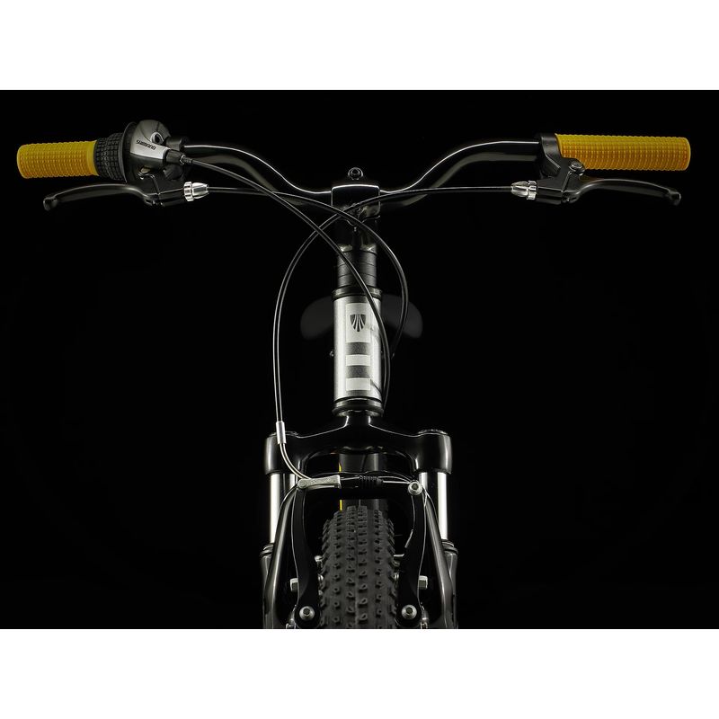 Trek Precaliber 24 Kids Bike