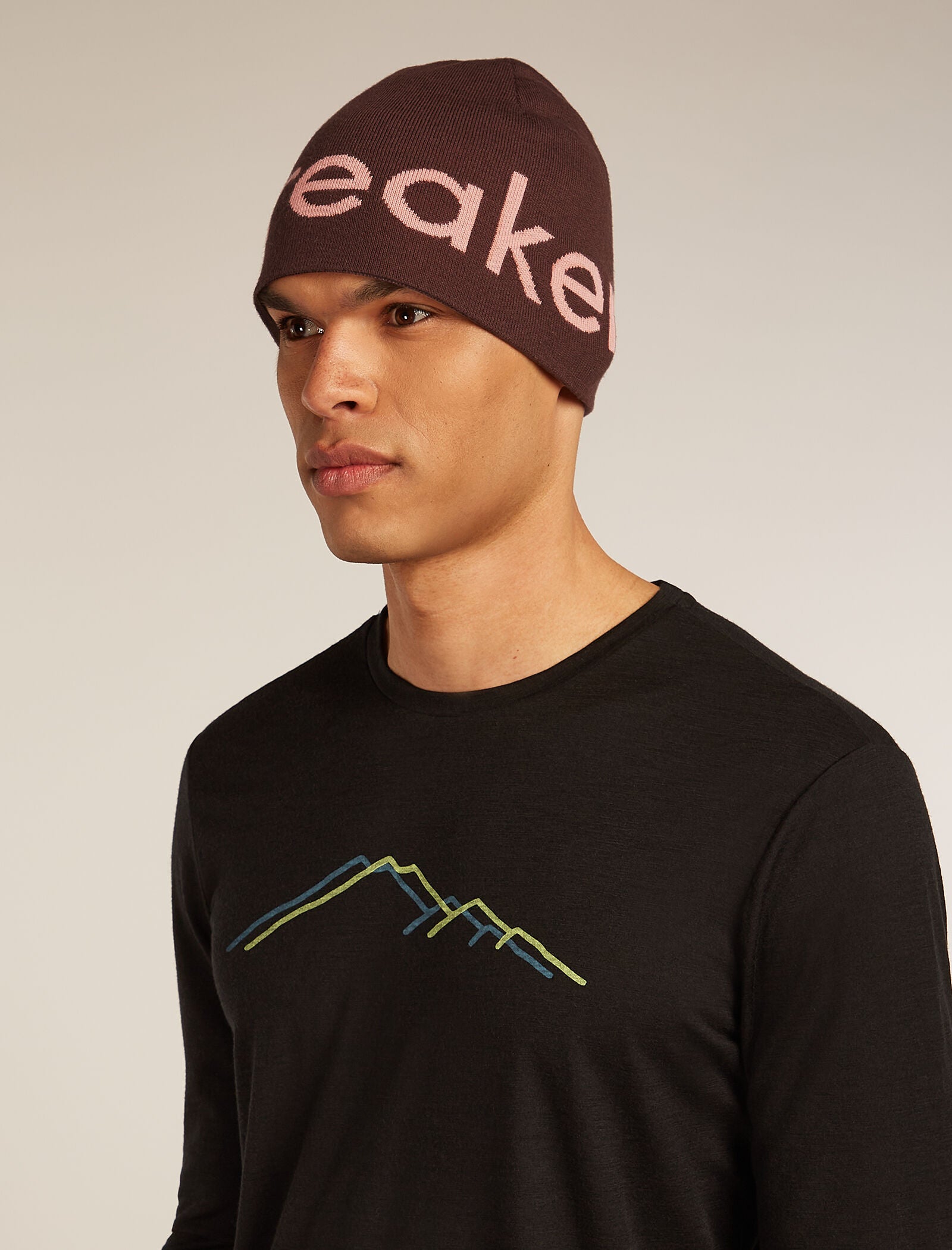 Icebreaker Merino Icebreaker Beanie