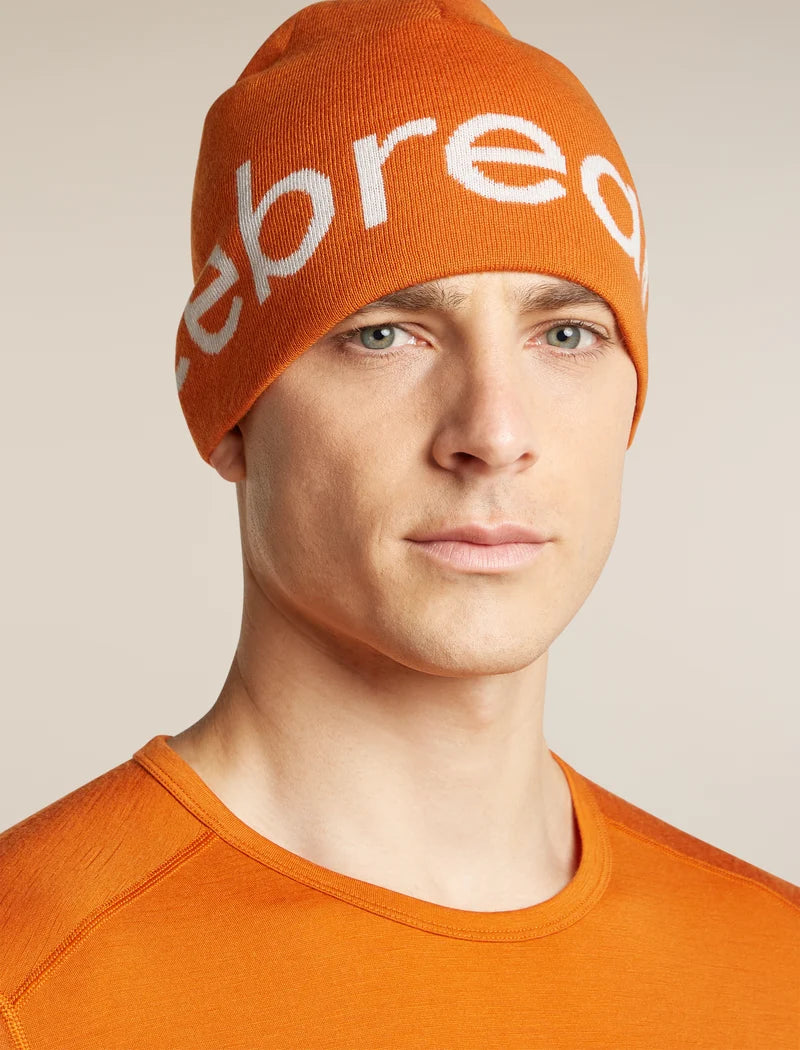 Icebreaker Merino icebreaker Beanie One Size Spice Ecru Heather