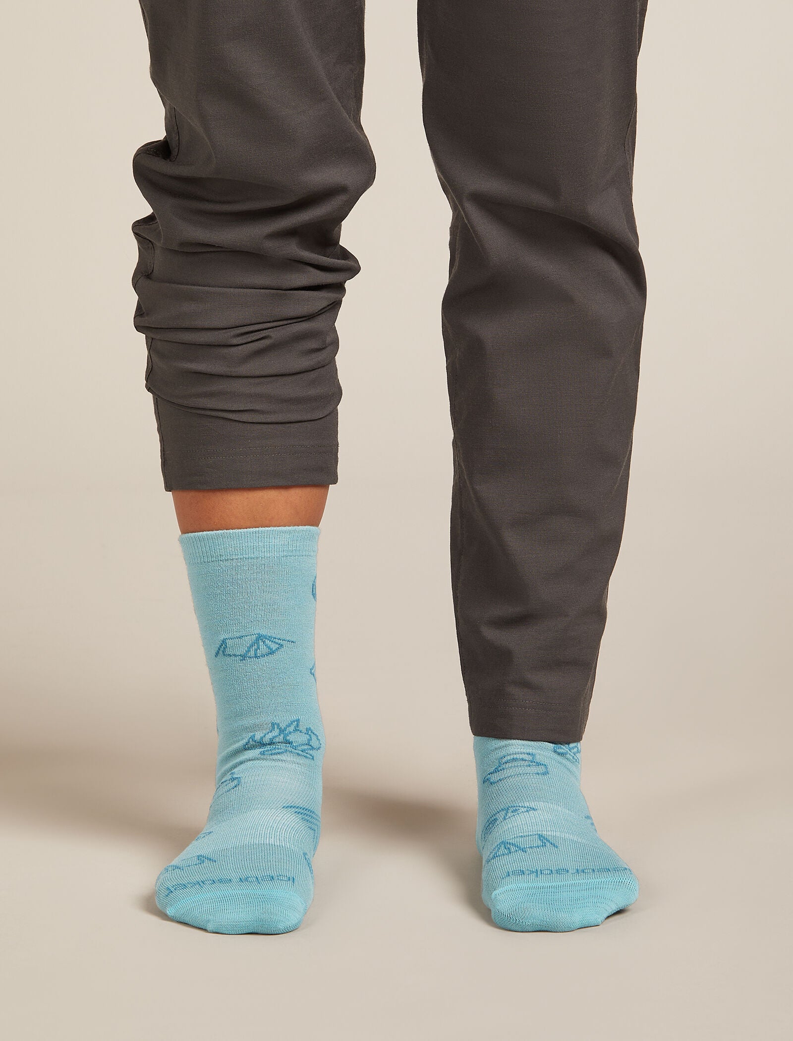 Icebreaker Womens Merino Lifestyle Ultralight Crew Camp Essentials