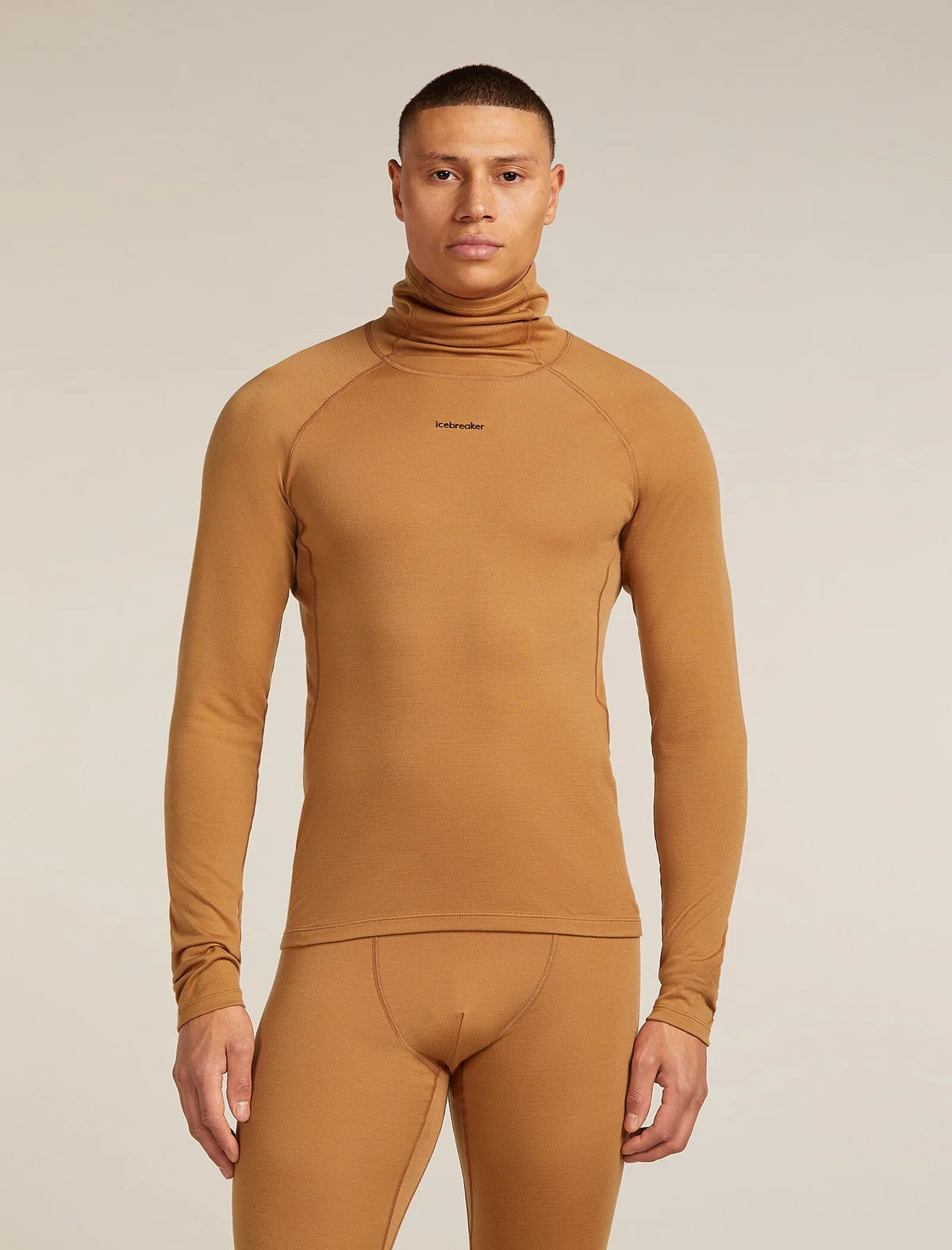 Icebreaker Mens 300 MerinoFine Polar LS Roll Neck