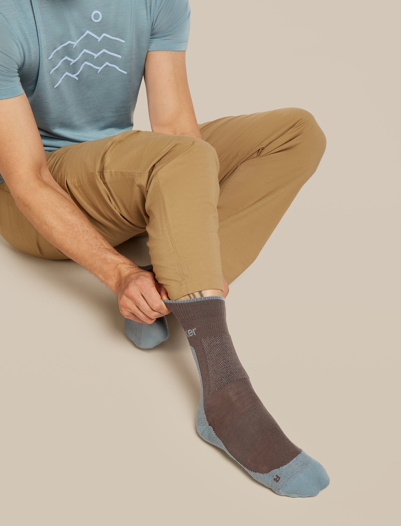 Icebreaker Mens Merino Hike+ Medium Crew Porcini Flint Blue