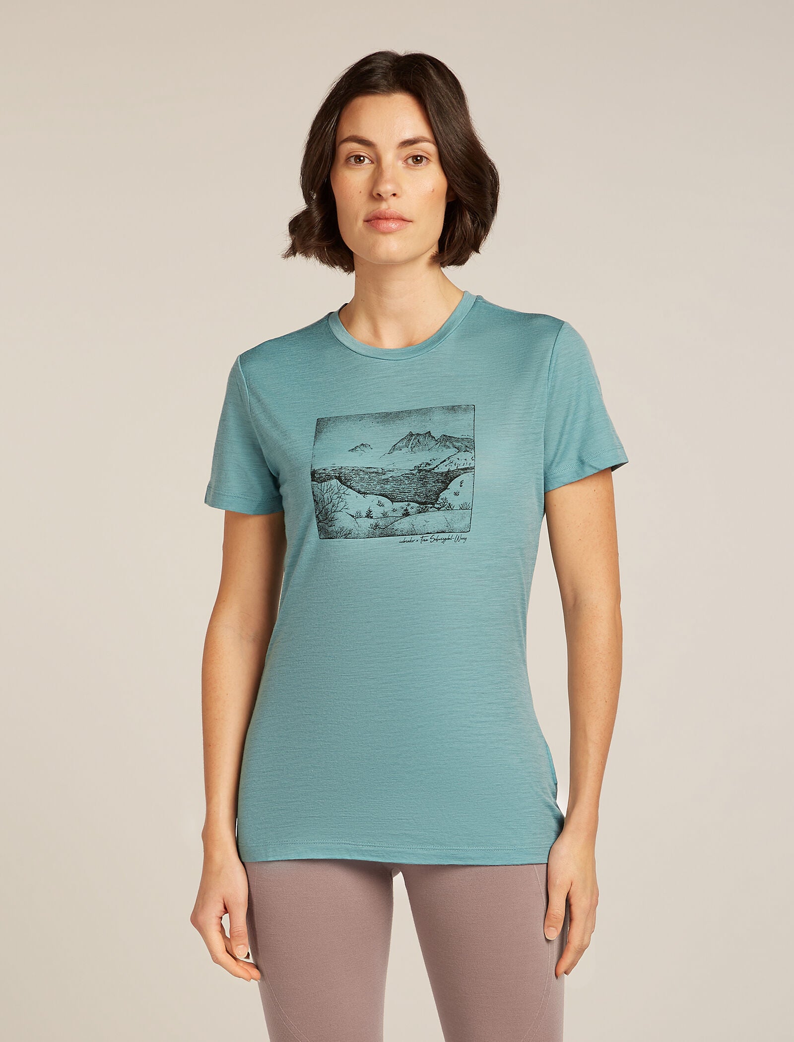 Icebreaker Womens Merino 150 Tech Lite SS Tee Terrain