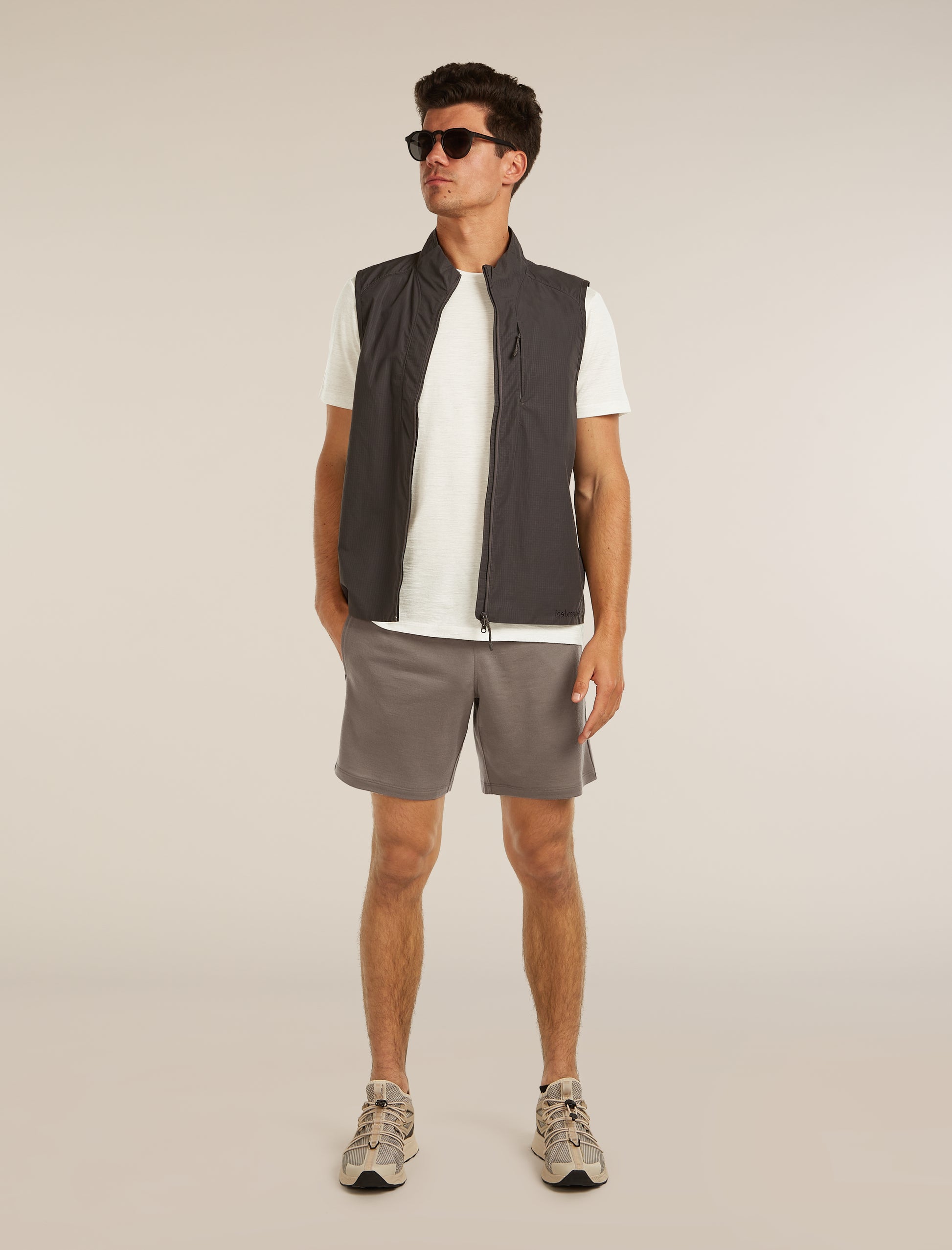 Icebreaker Mens Merino 150 Tech Lite SS Tee Evolving Layers
