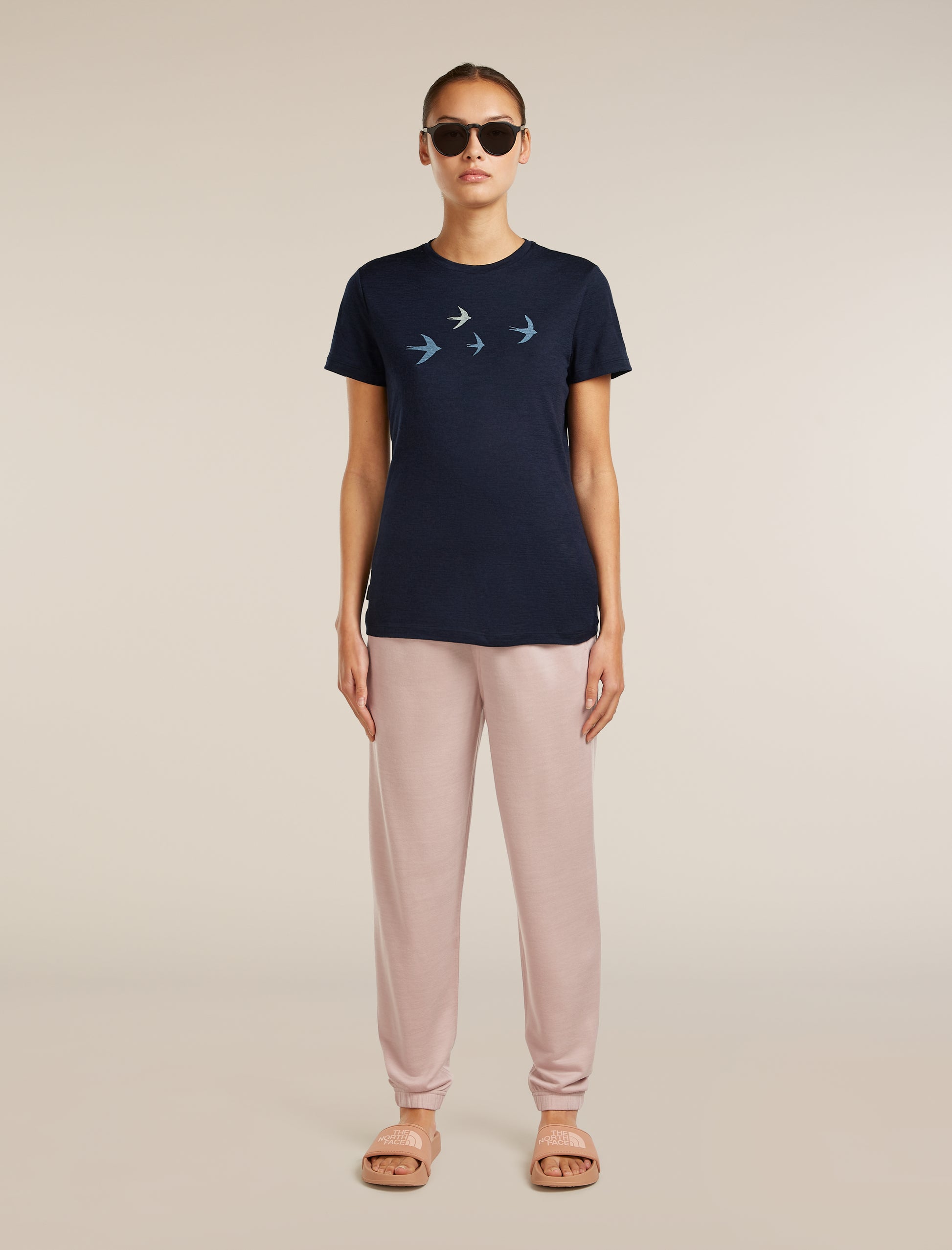 Icebreaker Womens Merino 150 Tech Lite SS Tee Bird Transit X Large Ecru Hthr