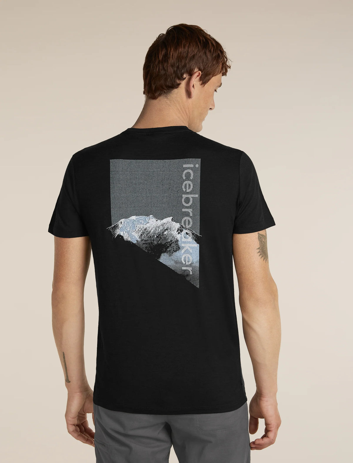 Icebreaker Mens Merino 150 Tech Lite SS Tee Pure Altitude