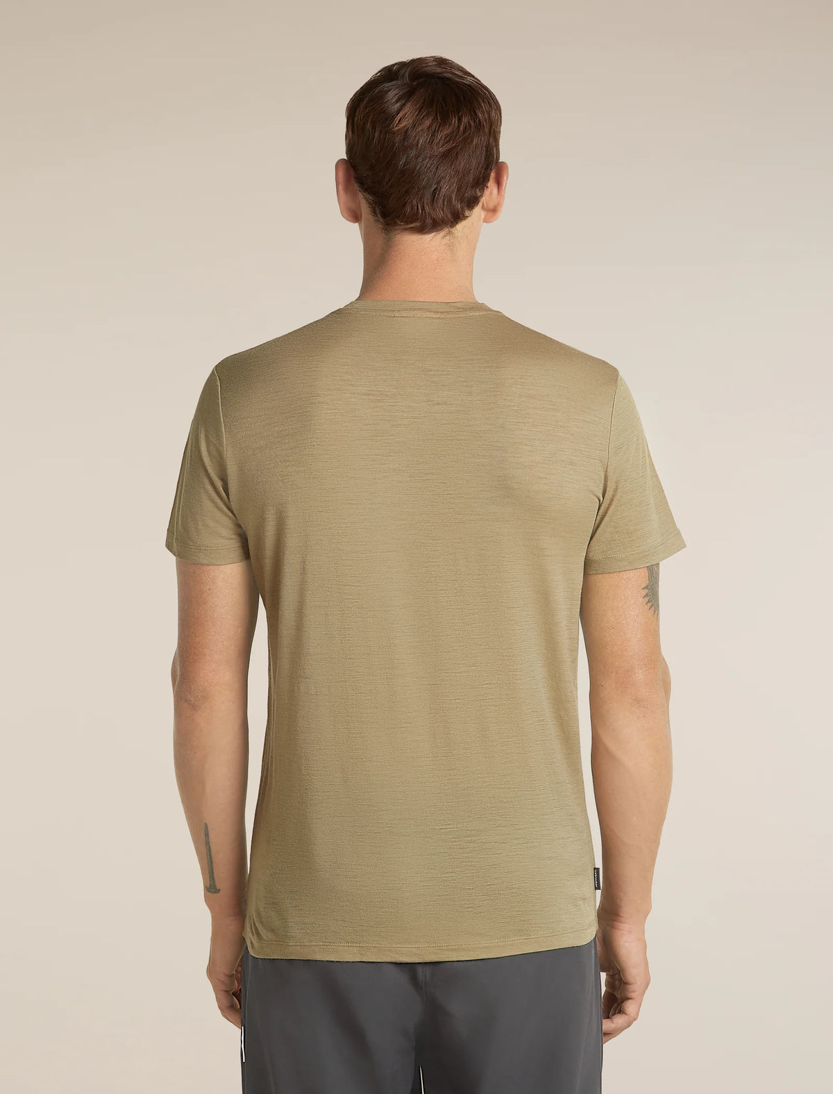 Icebreaker Mens Merino 150 Tech Lite SS Tee Great Heights