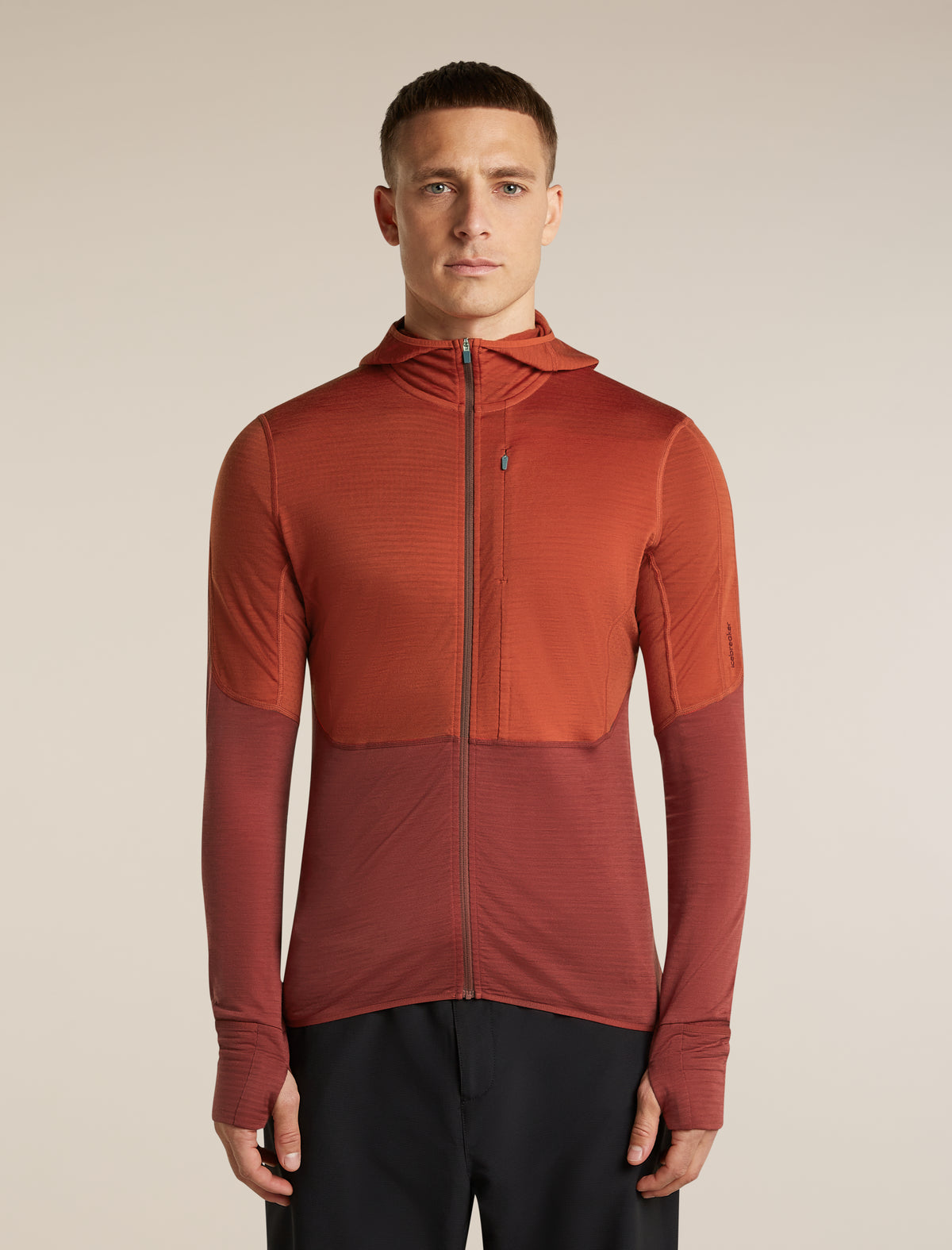 Icebreaker Mens Merino 200 Realfleece Descender LS Zip
