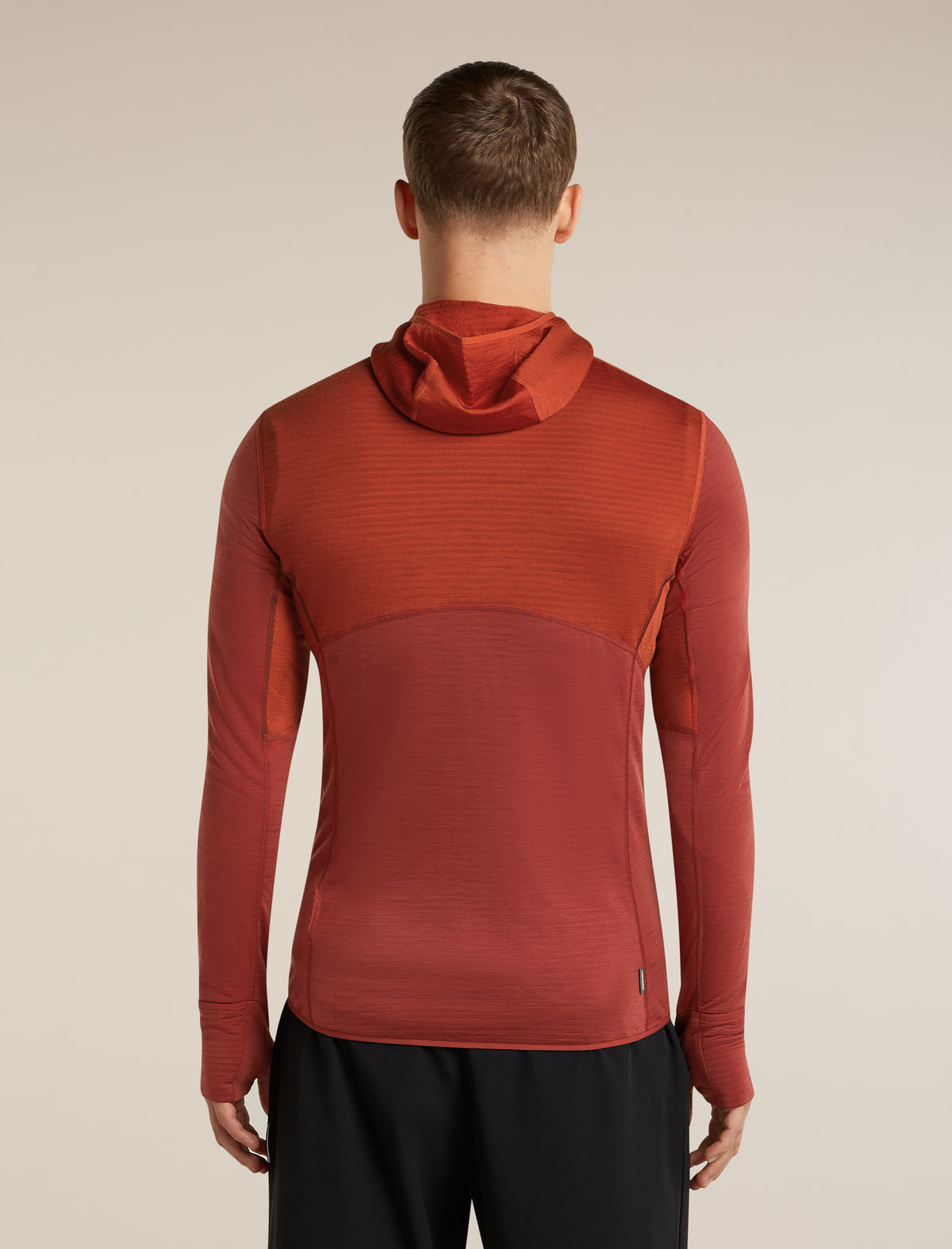Icebreaker Mens Merino 200 Realfleece Descender LS Zip