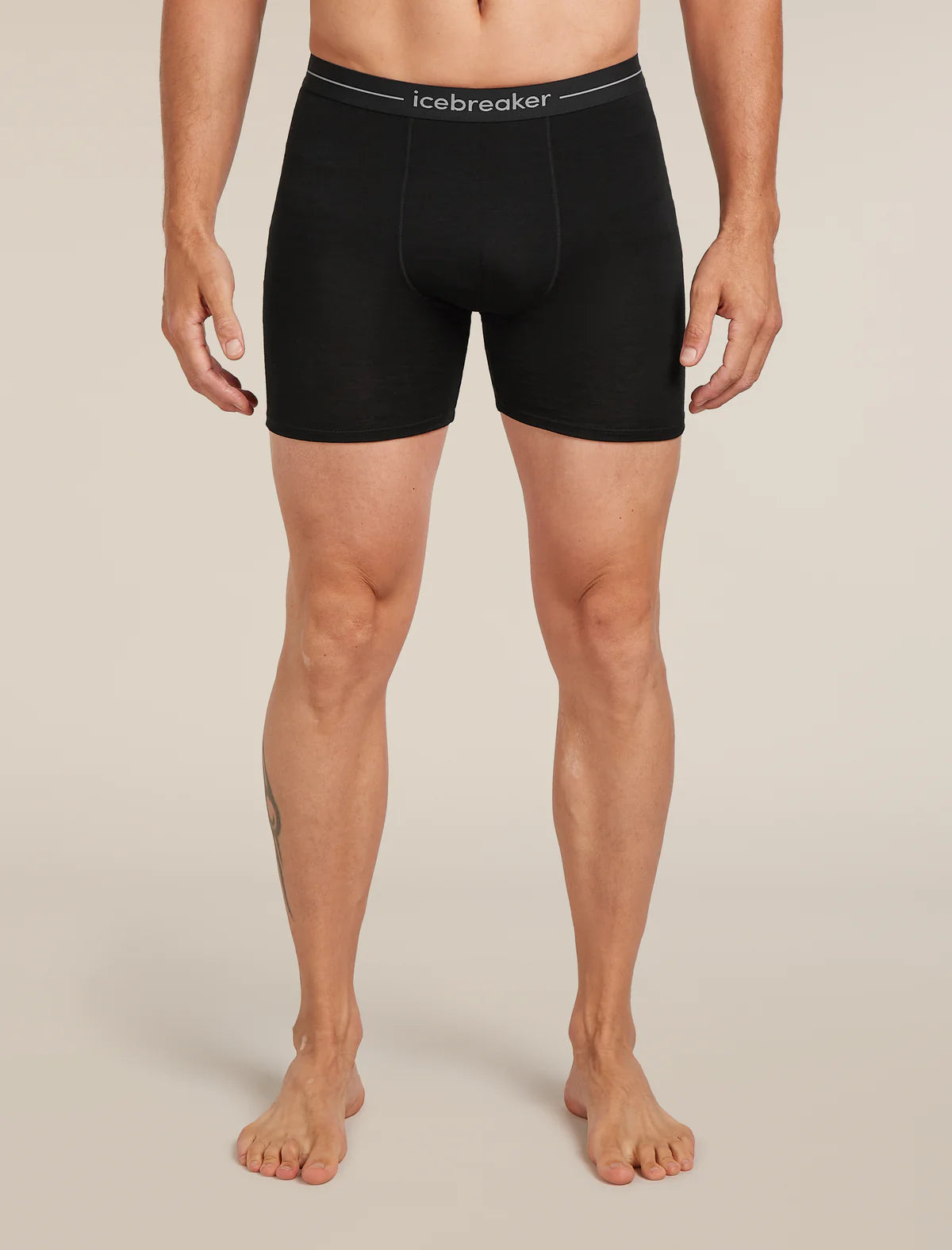 Icebreaker Mens Merino 150 Anatomica Long Boxers