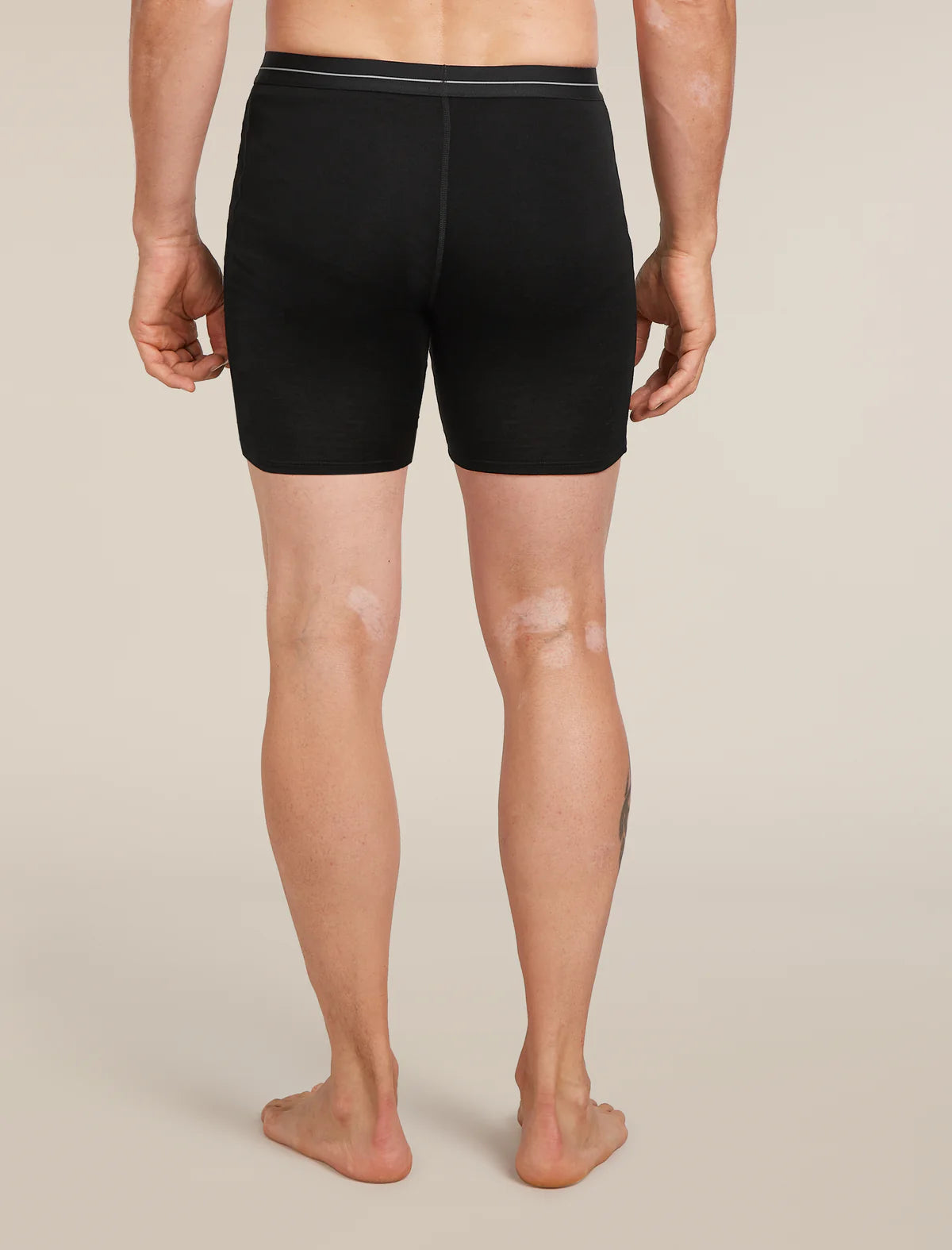 Icebreaker Mens Merino 150 Anatomica Long Boxers