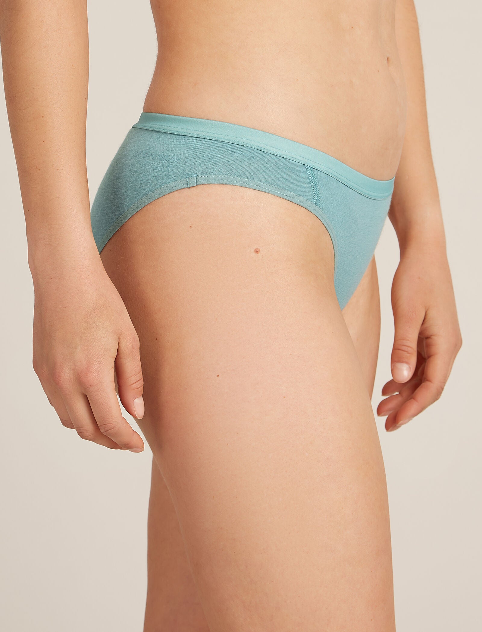 Icebreaker Womens Siren Bikini