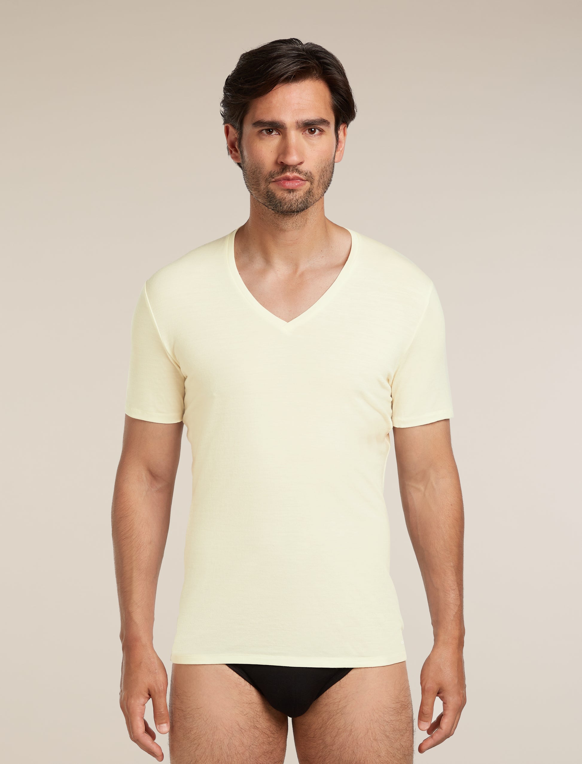 Icebreaker Mens Merino 150 Anatomica SS V