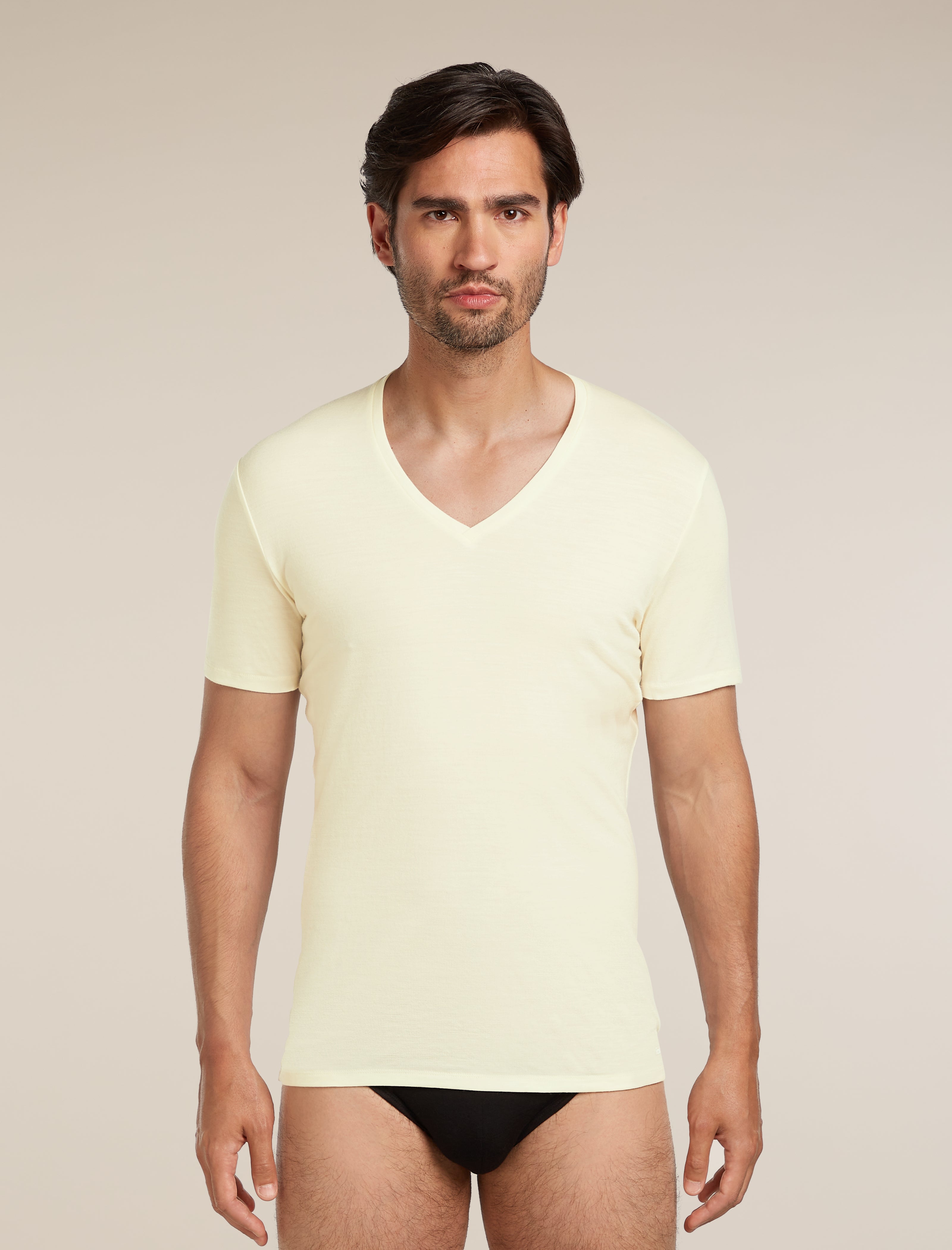 Icebreaker Mens Merino 150 Anatomica SS V