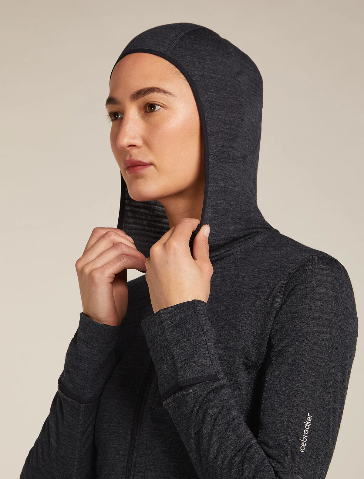 Icebreaker Womens Merino Blend 200 RealFleece Descender LS Zip Hoodie