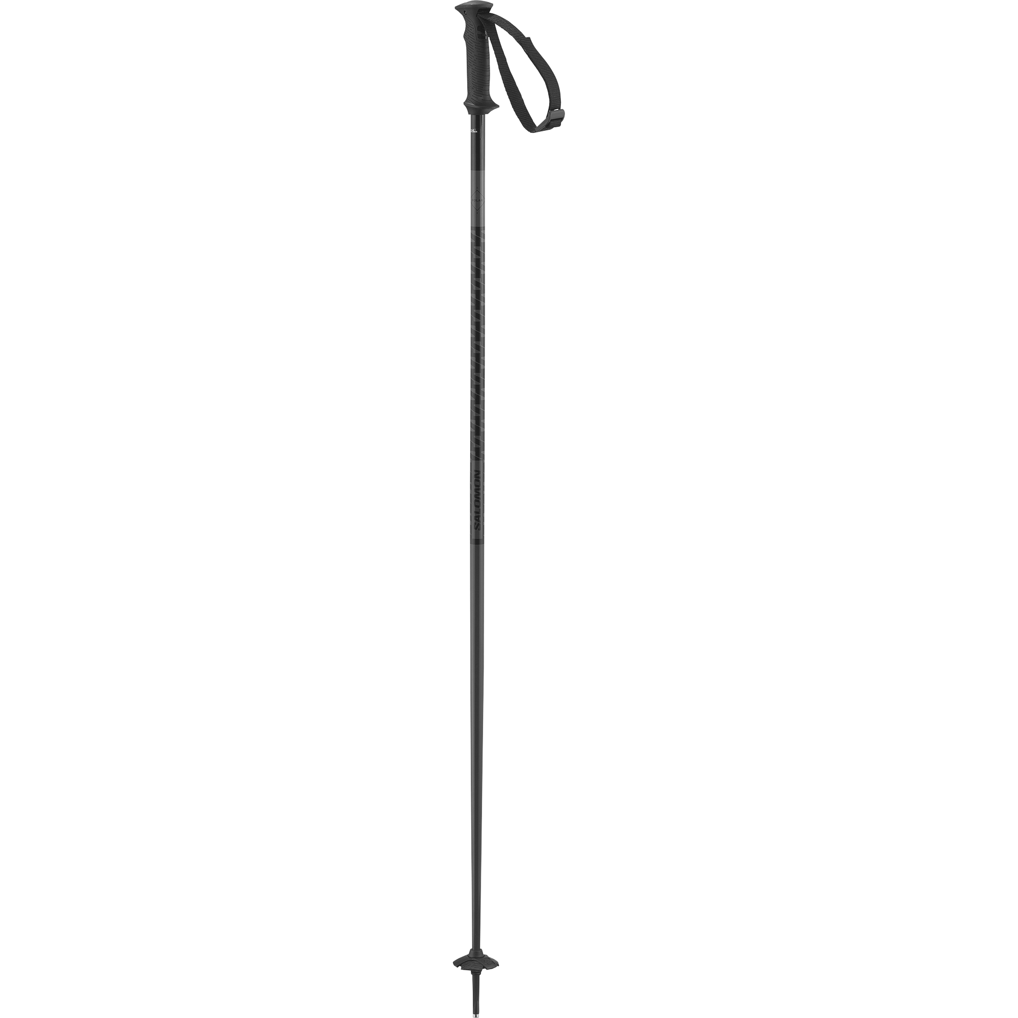 Salomon Polar Access Ski Poles