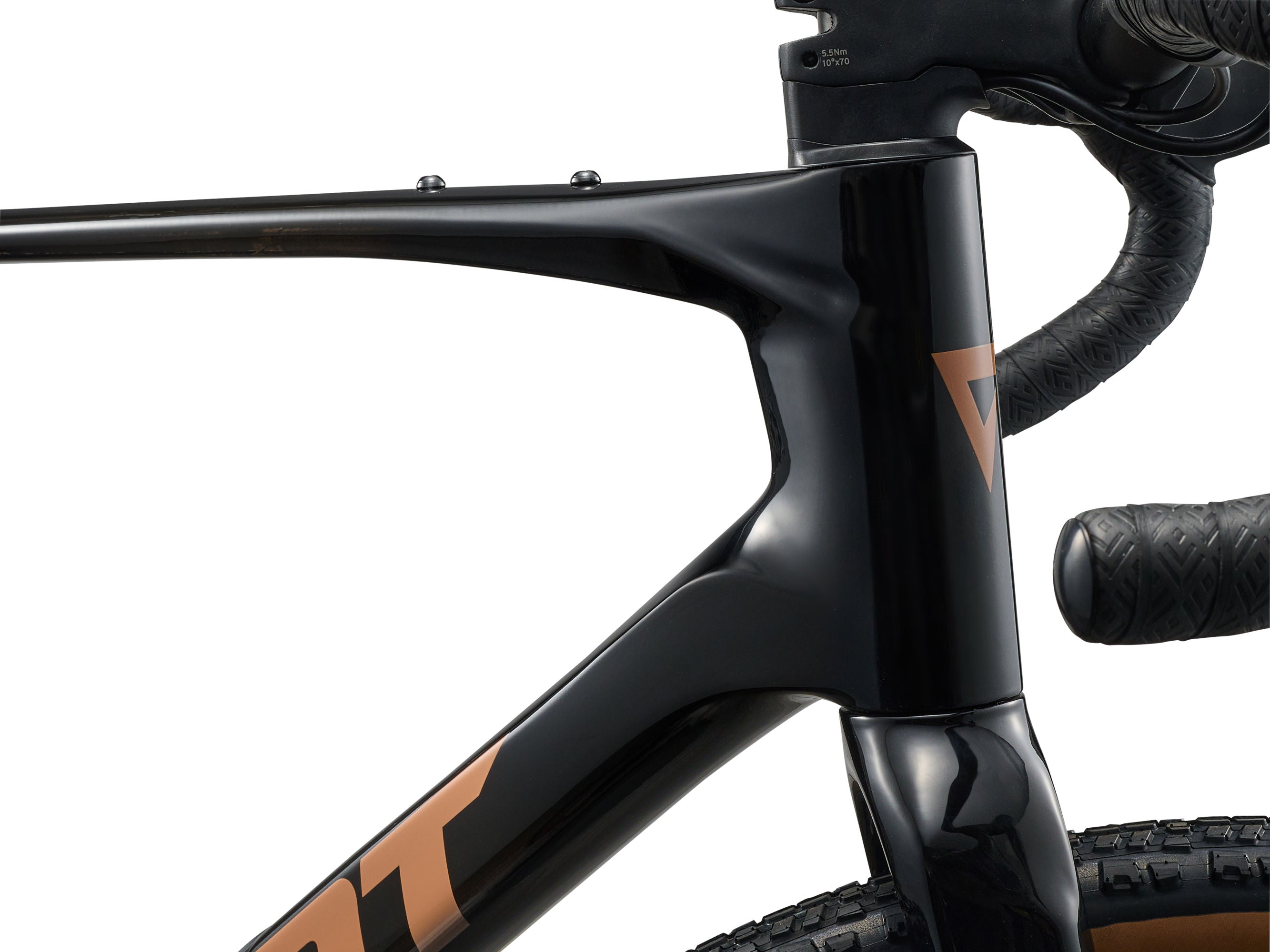 Giant Revolt Advanced 2 Gravel Bike