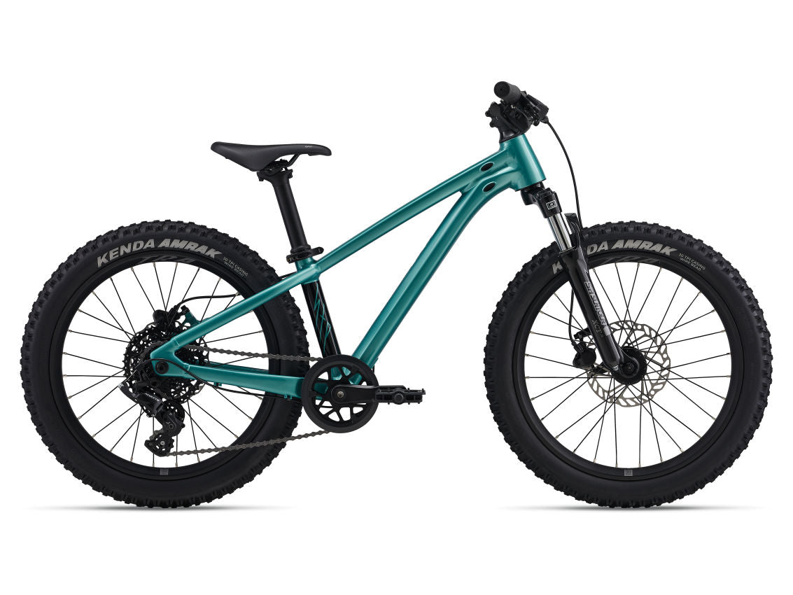 Giant STP 20 FS Kids Bike