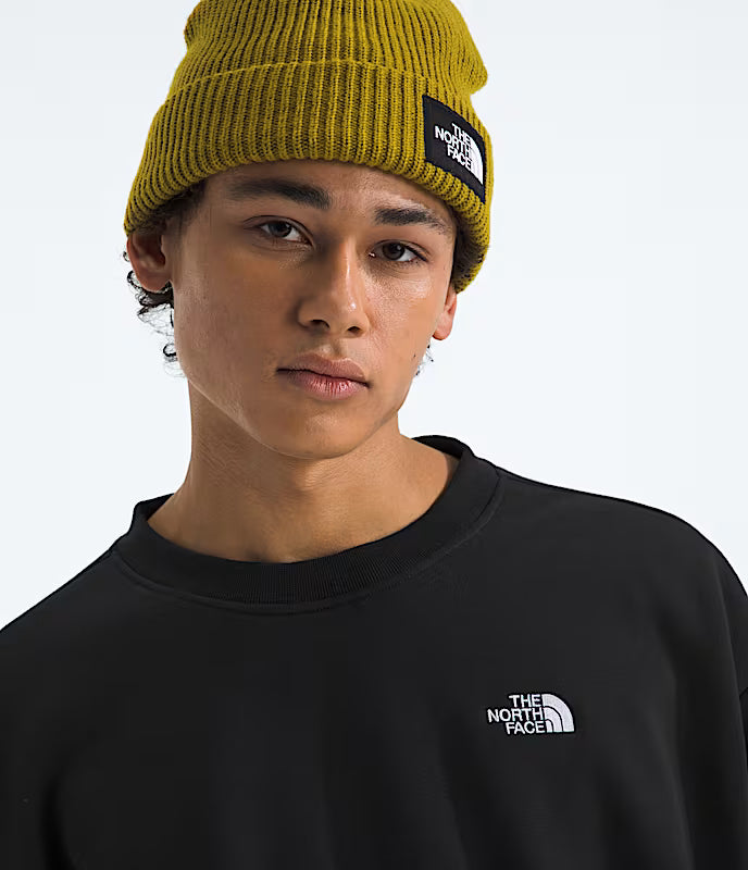 TNF Mens Evolution SD Oversized Crew