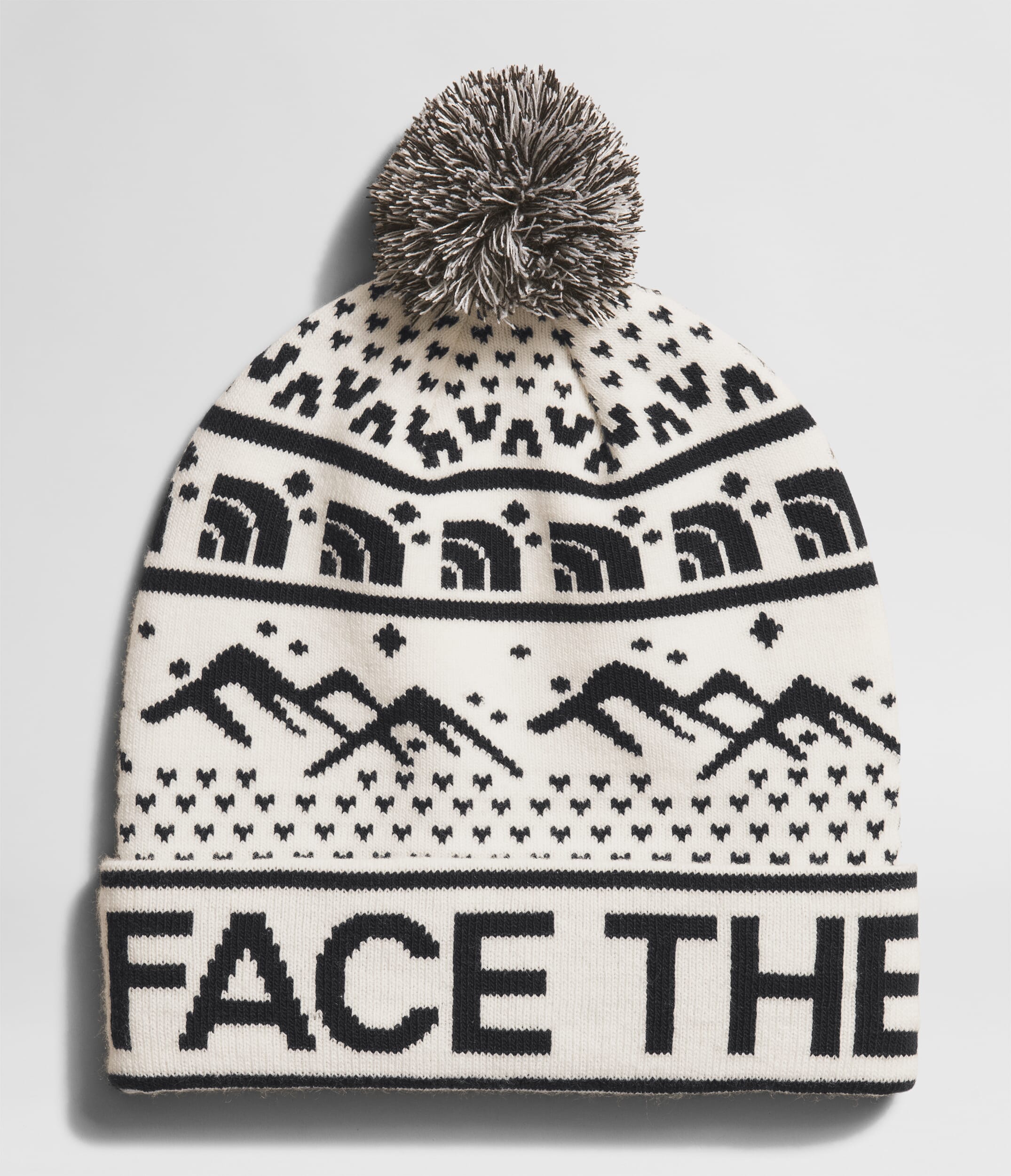 TNF Ski Tuke