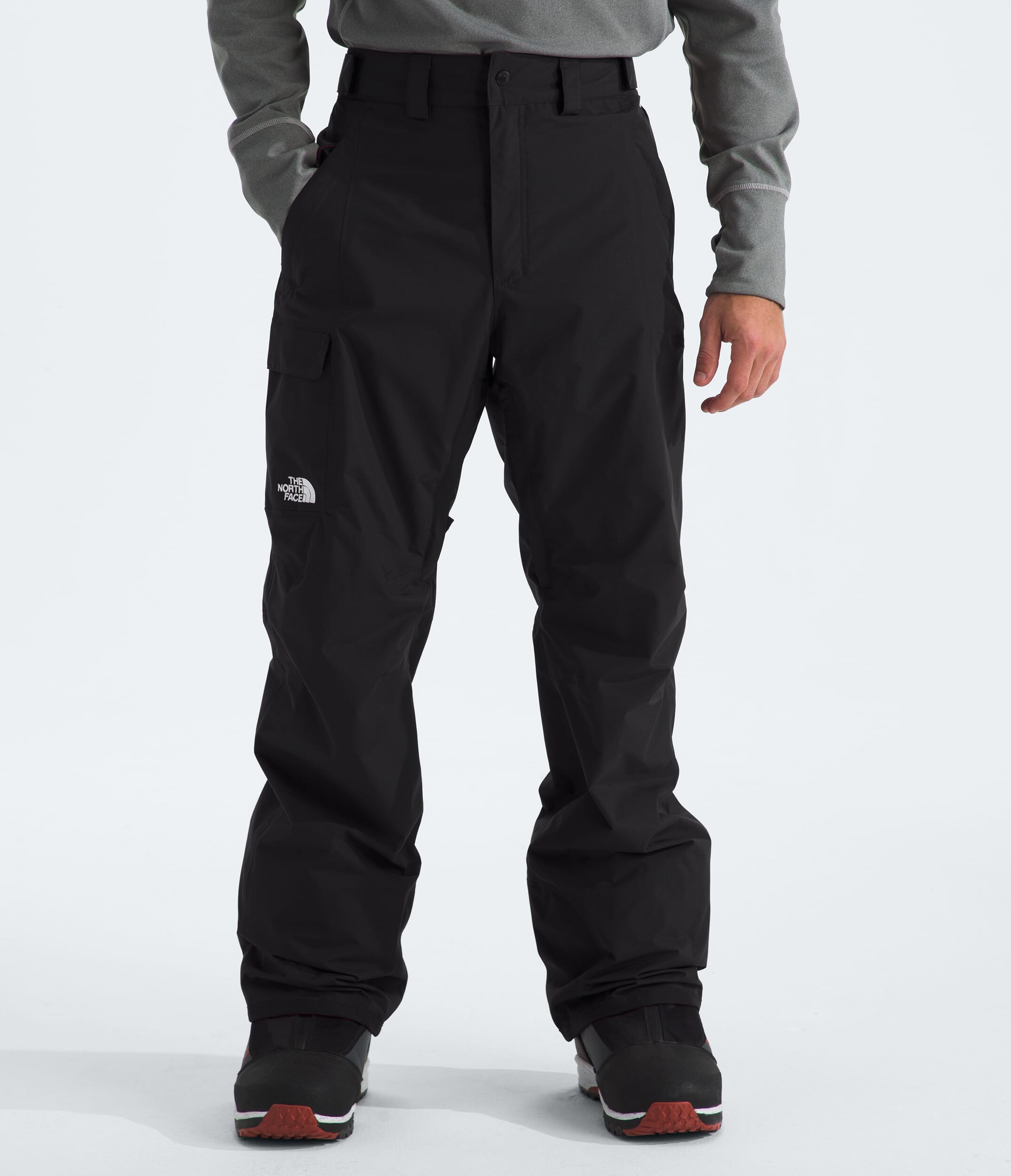 TNF Mens Freedom Pant