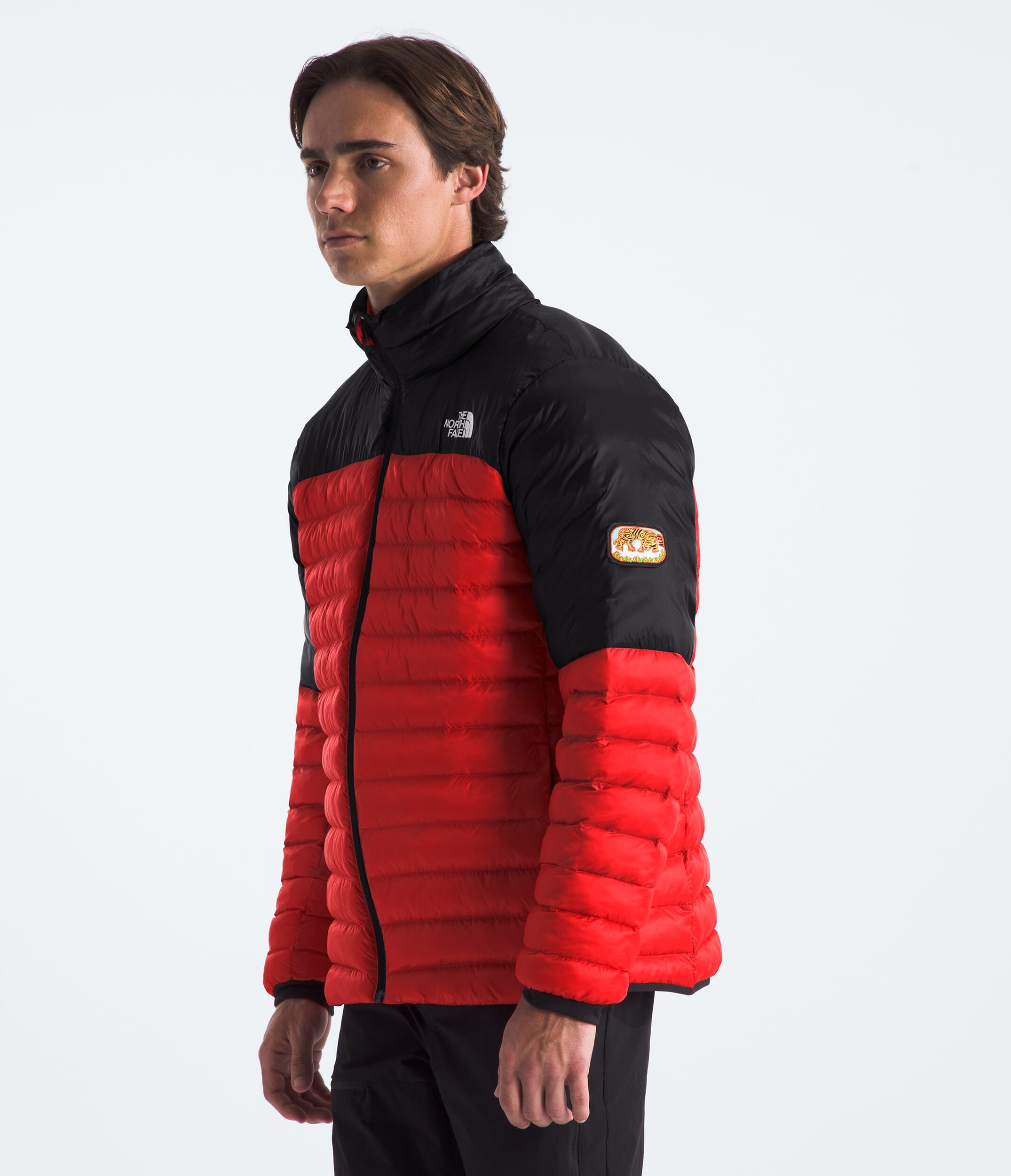 TNF Mens Terra Peak Jacket