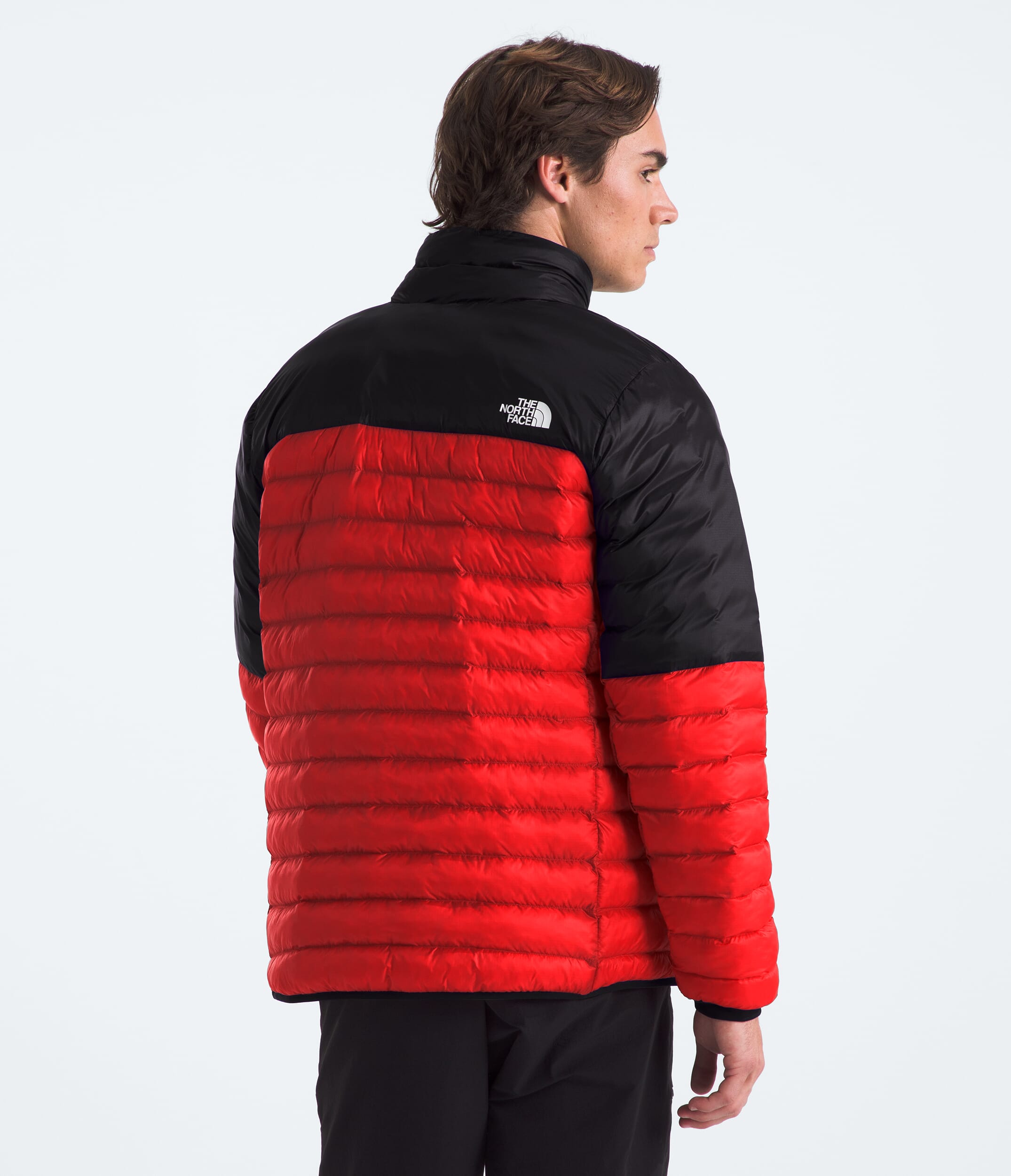 TNF Mens Terra Peak Jacket