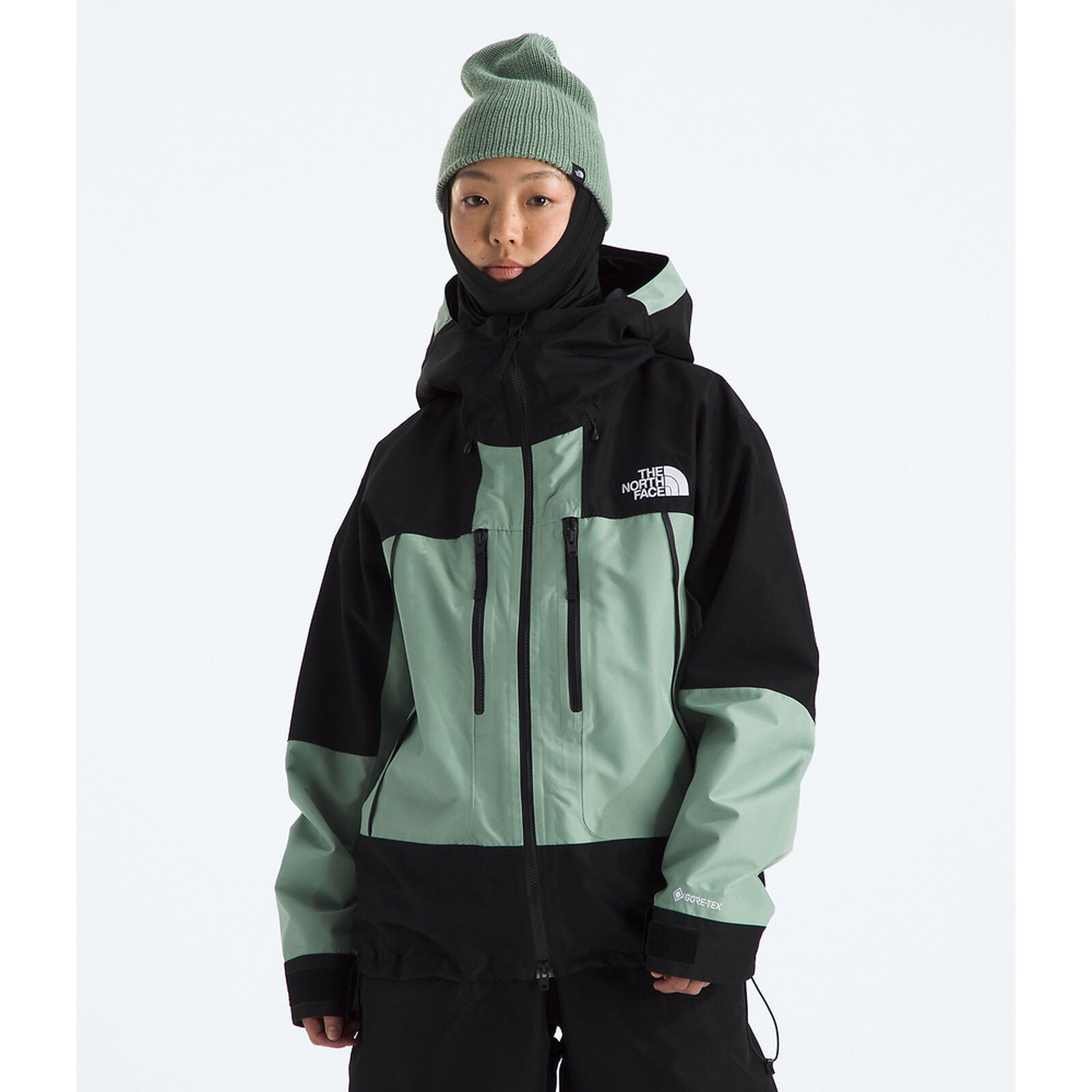 TNF Womens GTX Hex Jacket