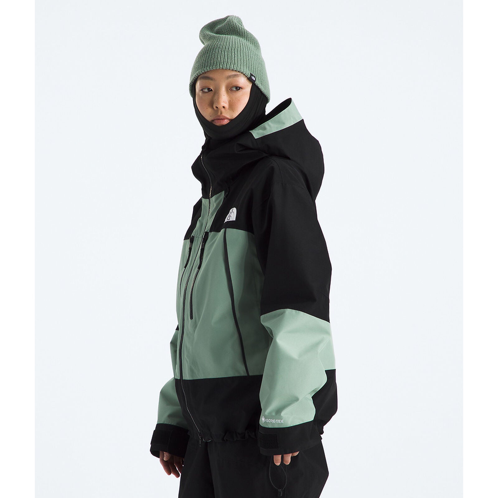 TNF Womens GTX Hex Jacket