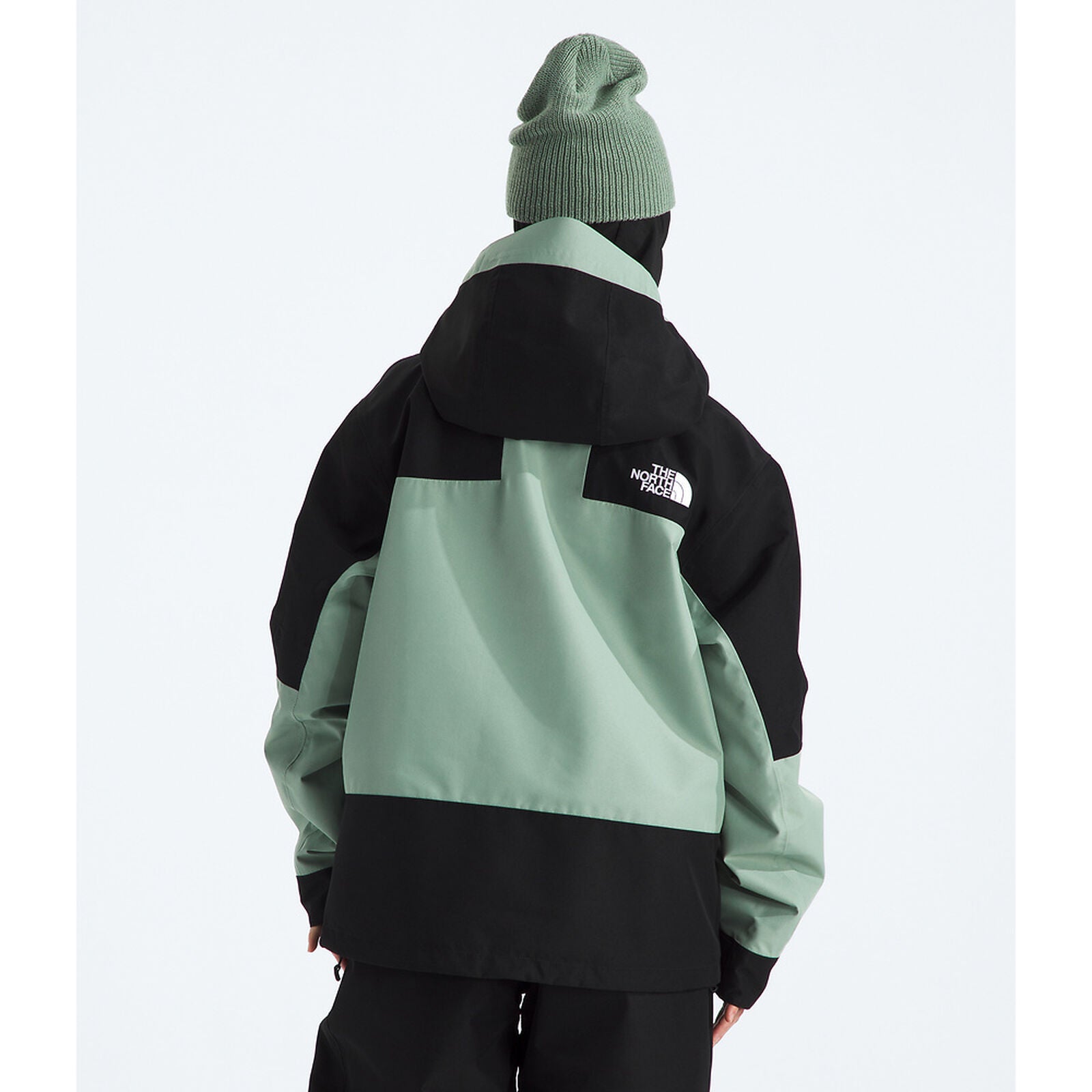 TNF Womens GTX Hex Jacket