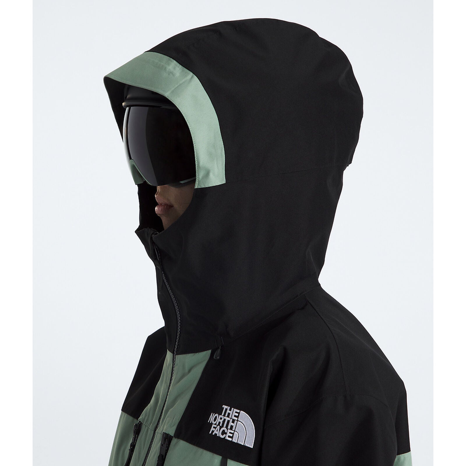 TNF Womens GTX Hex Jacket
