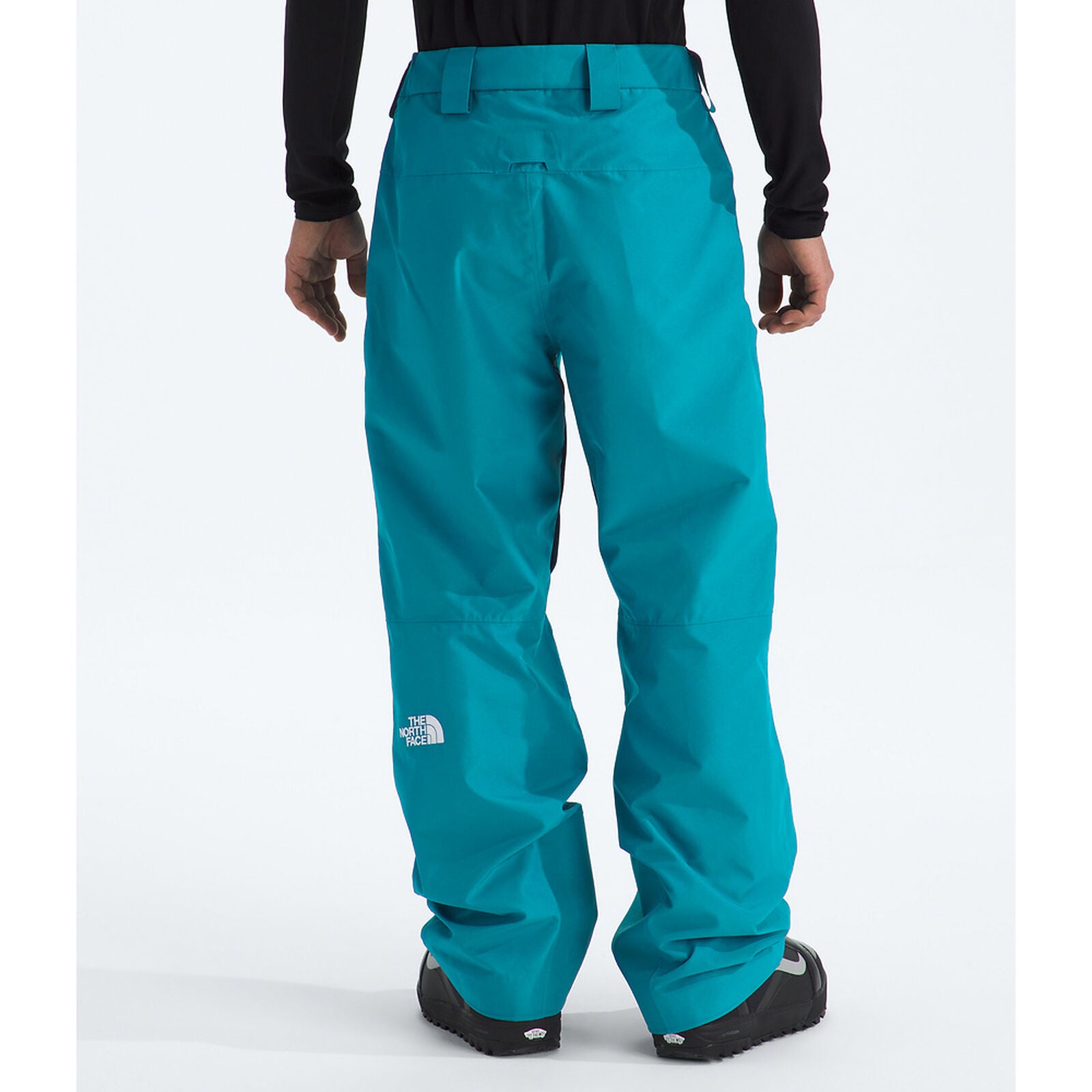 TNF Mens GTX Dawnstrike Pant