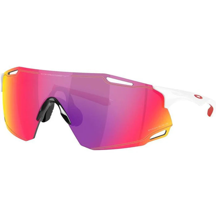 Oakley CYBR Dyno Sunglasses