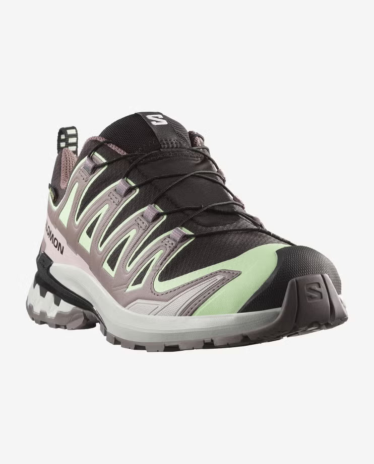 Salomon Womens XA Pro 3D V9 GTX Shoes