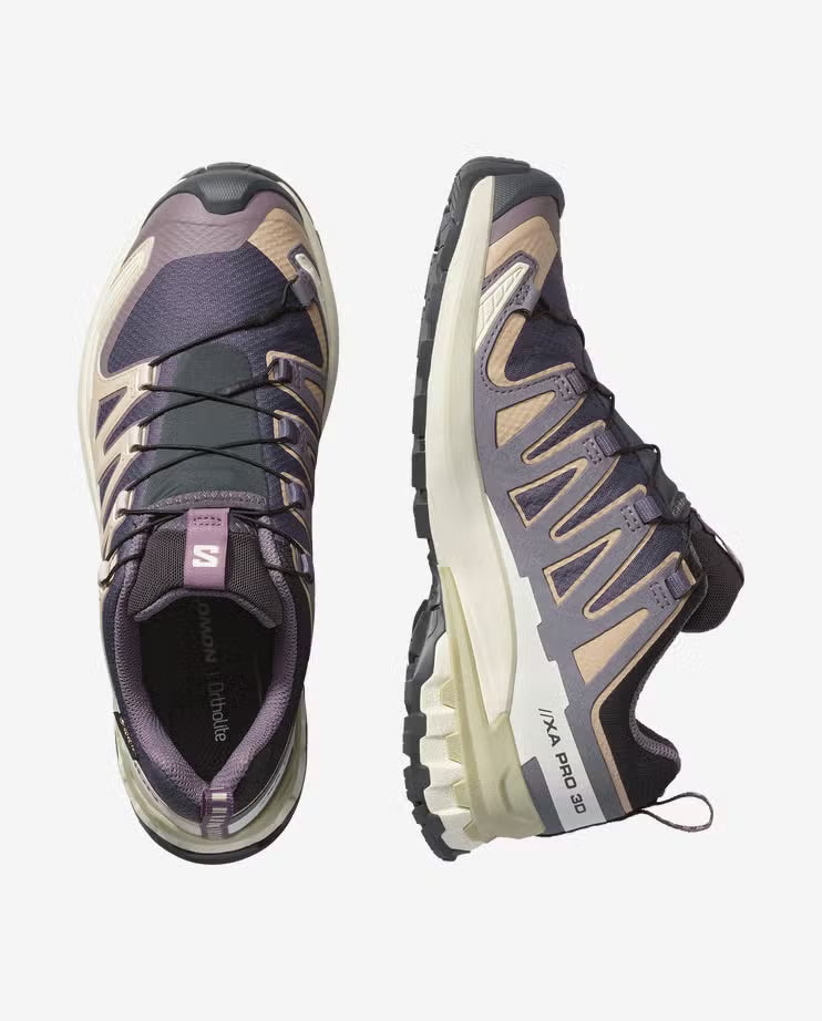 Salomon Womens XA Pro 3D V9 Gore-Tex Shoes