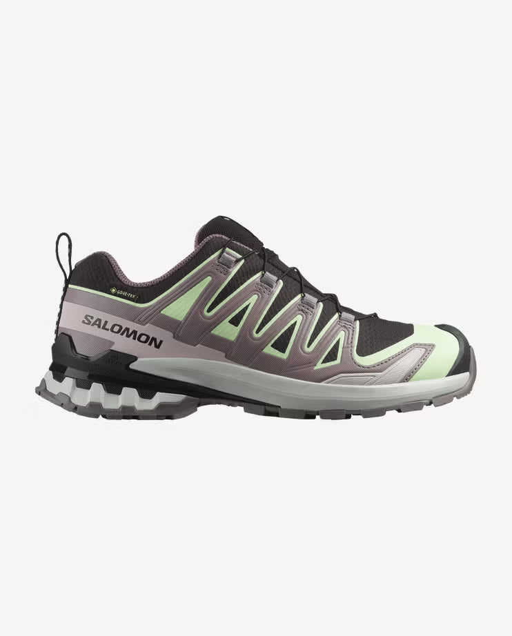 Salomon Womens XA Pro 3D V9 GTX Shoes